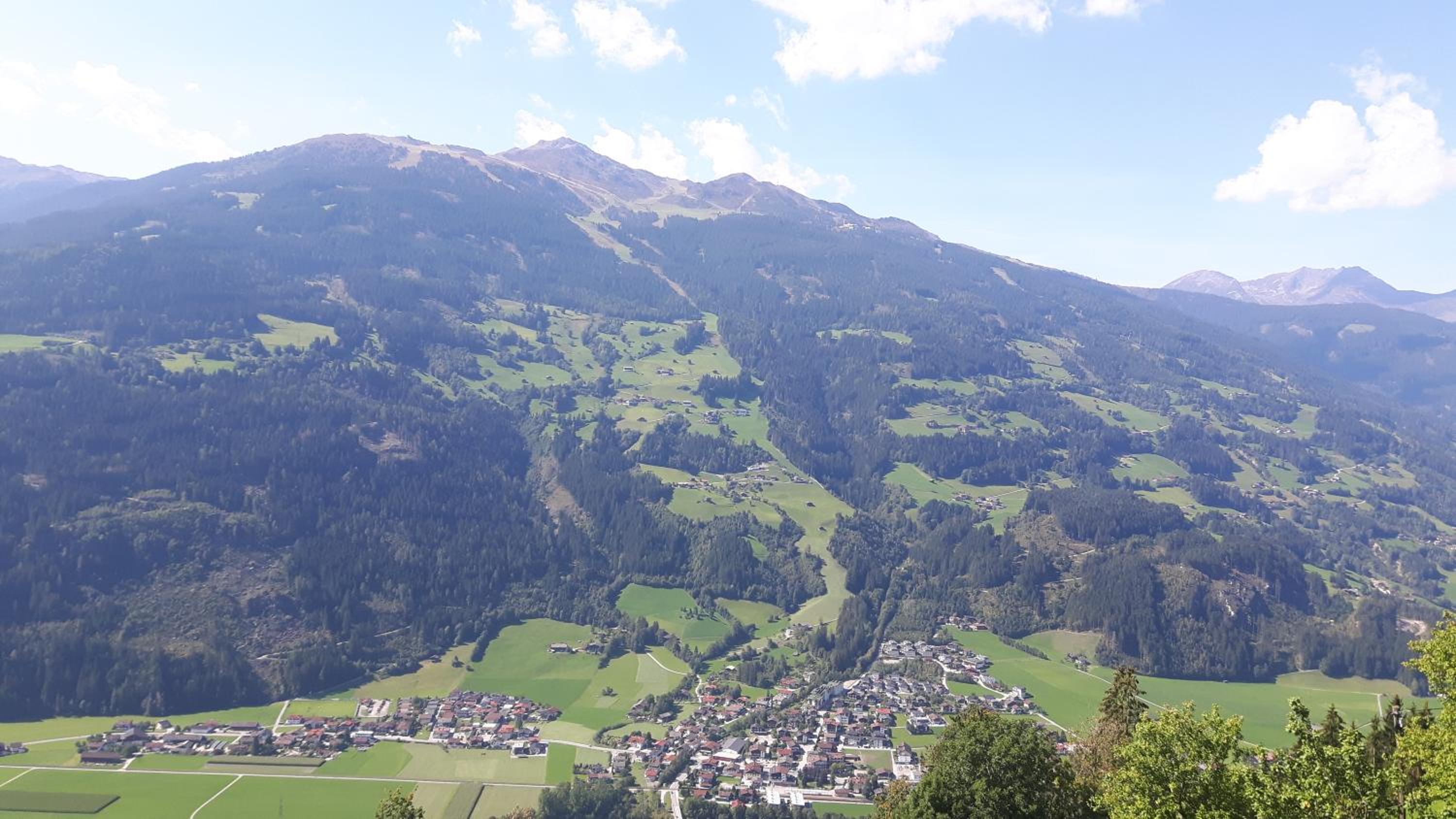 Nesterhof