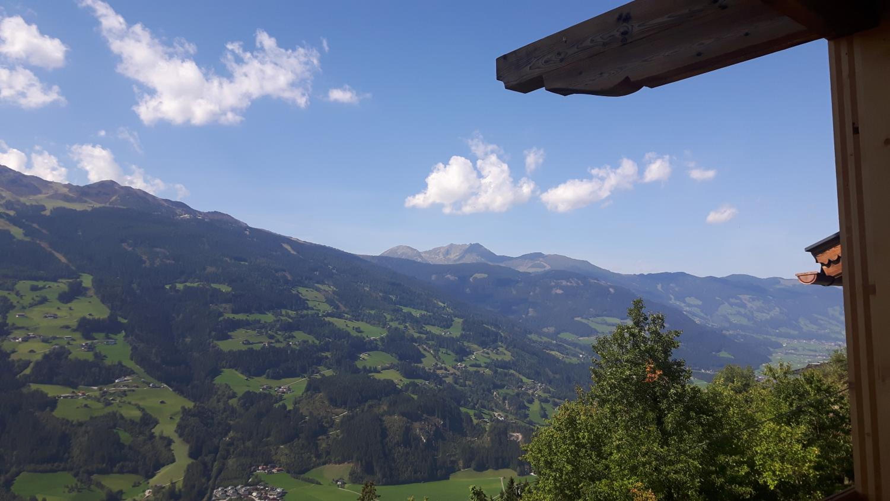 Nesterhof