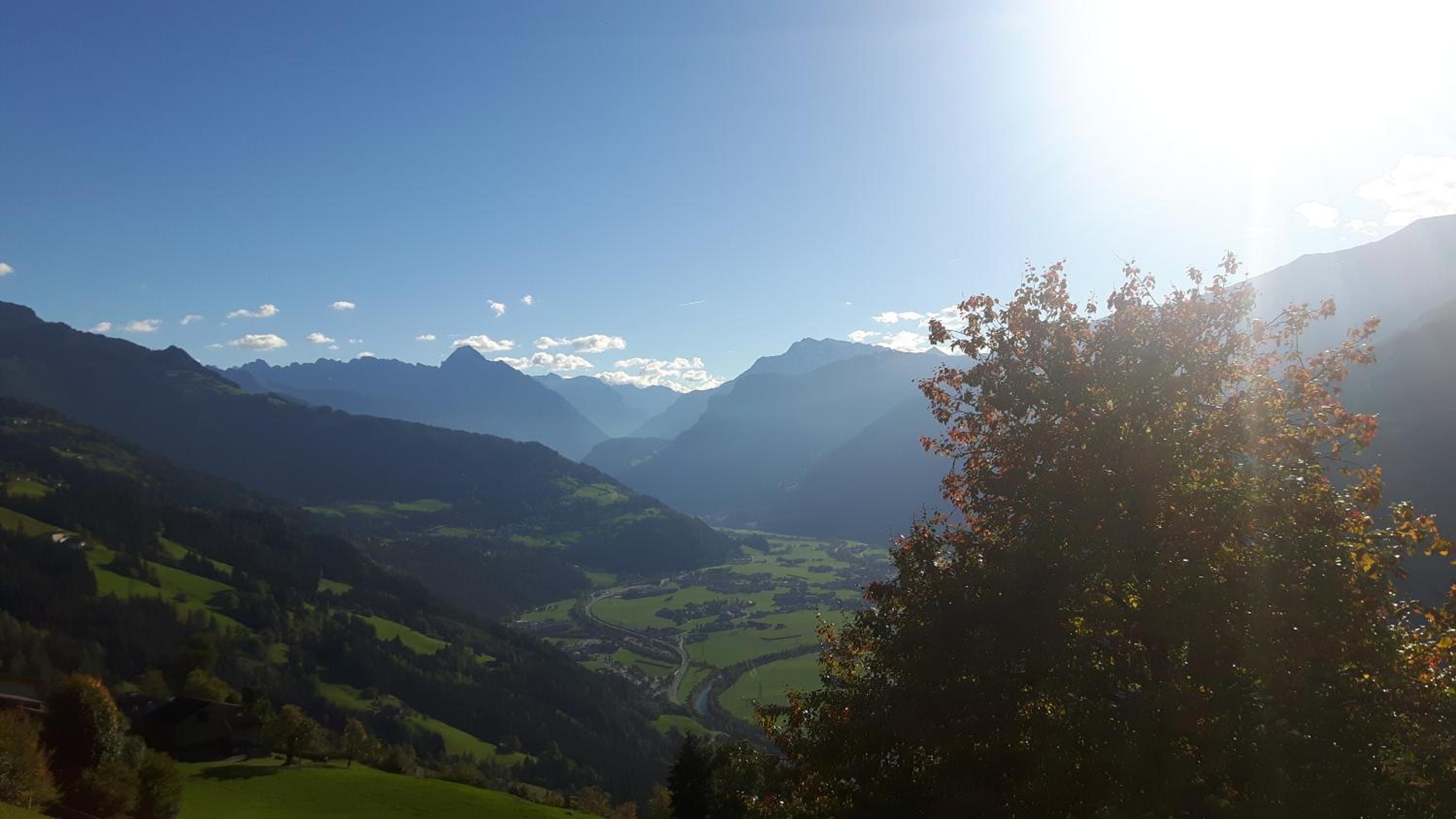 Nesterhof