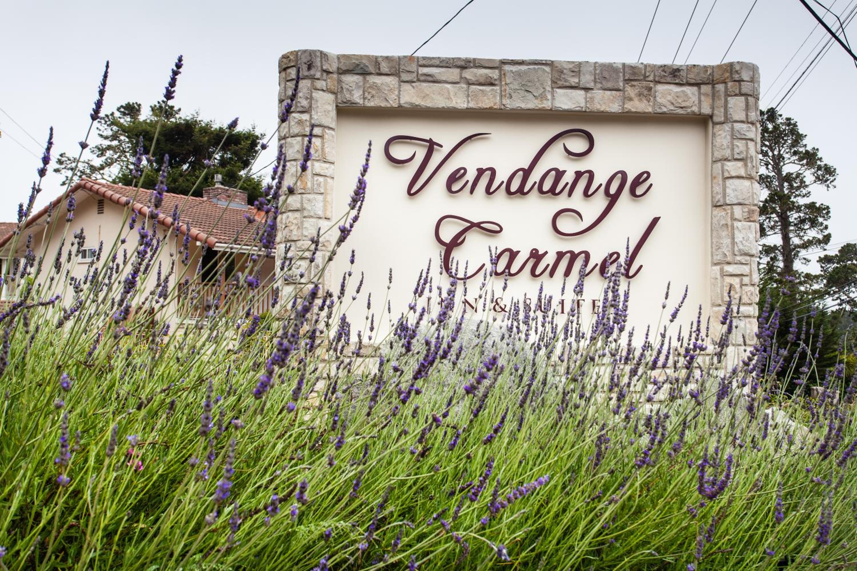 Monterey Vacations - The Vendange Carmel Inn  Suites - Property Image 2
