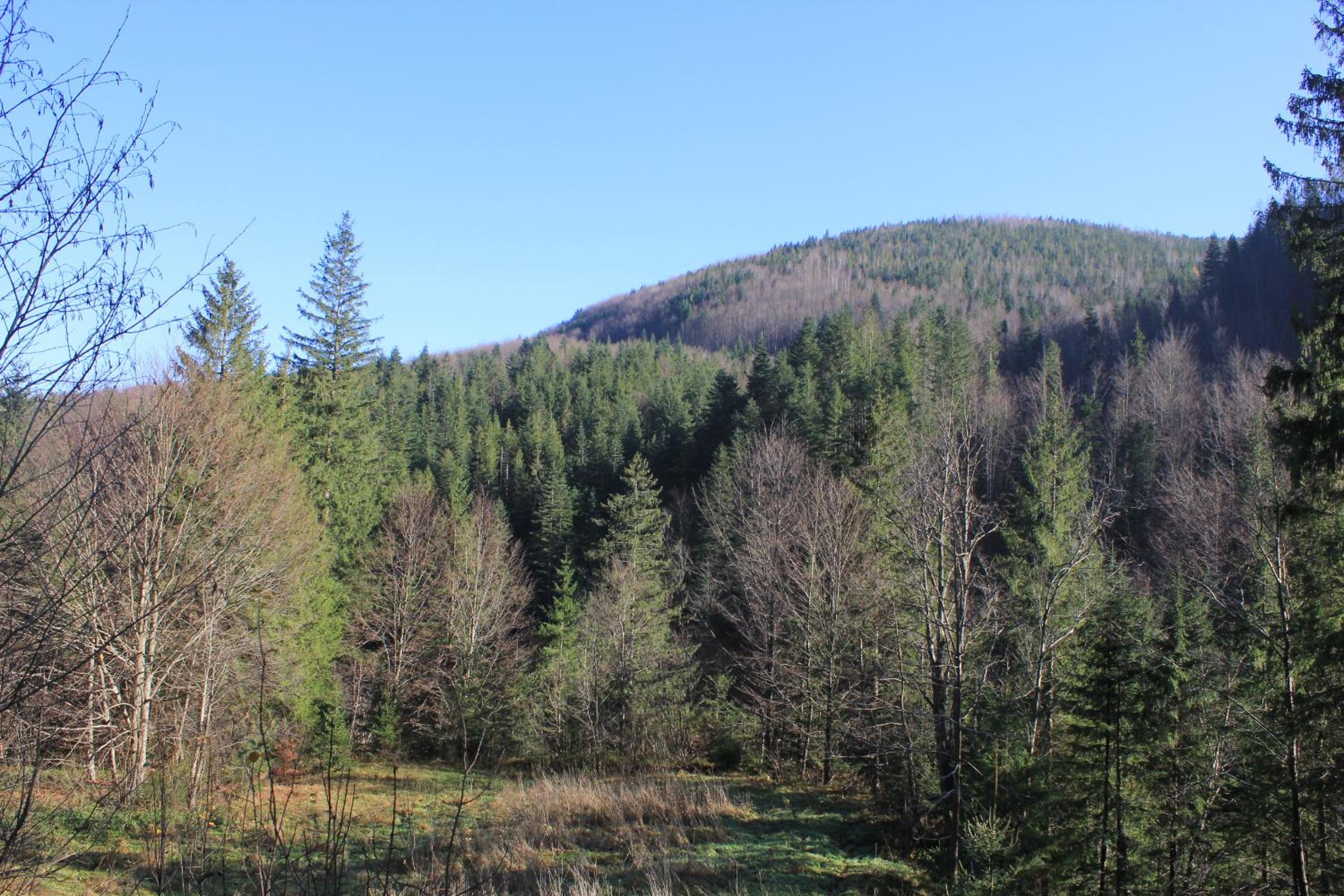 Котедж Mountain house