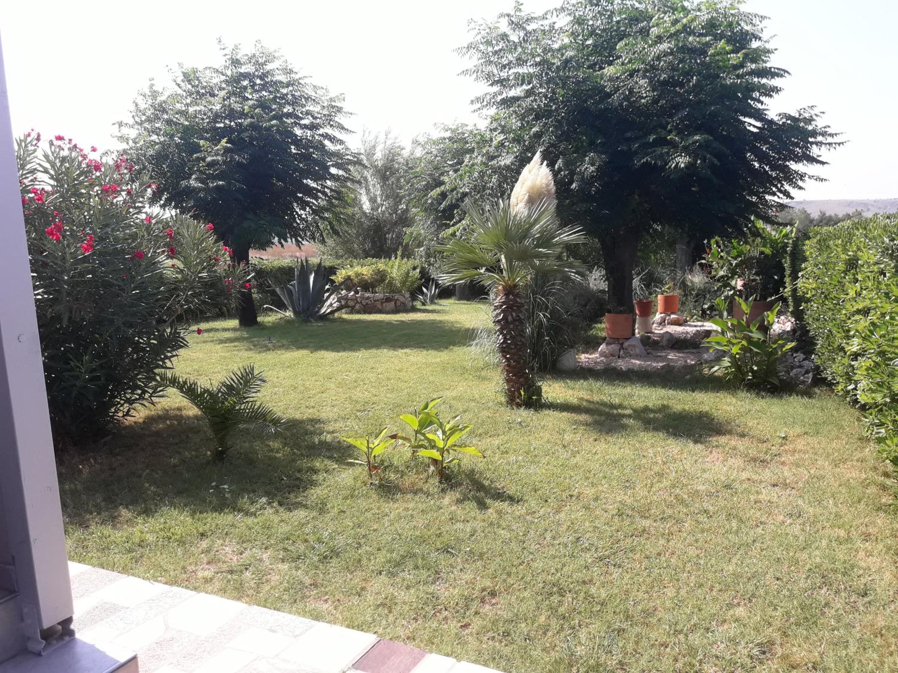 Photo 46