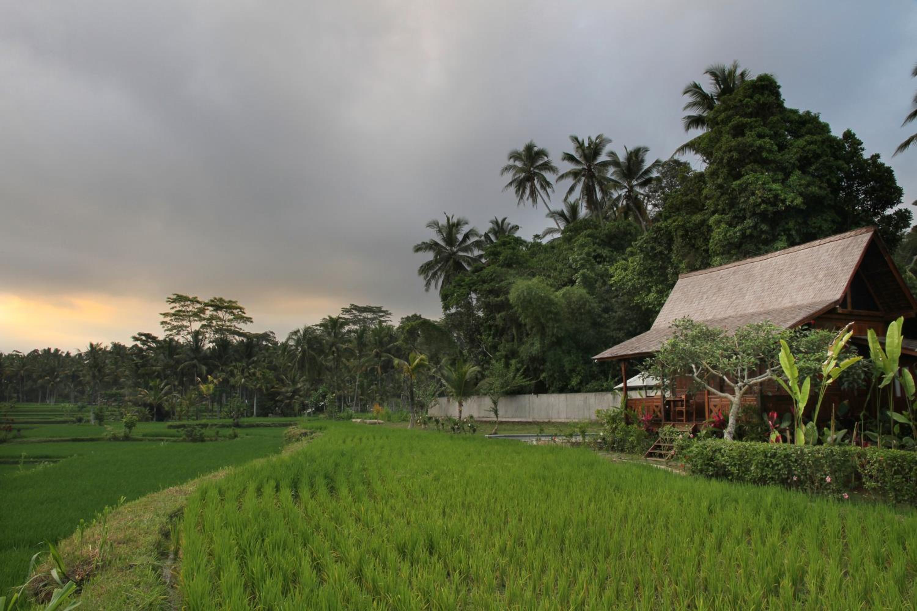 Benisari Batik Garden Cottage