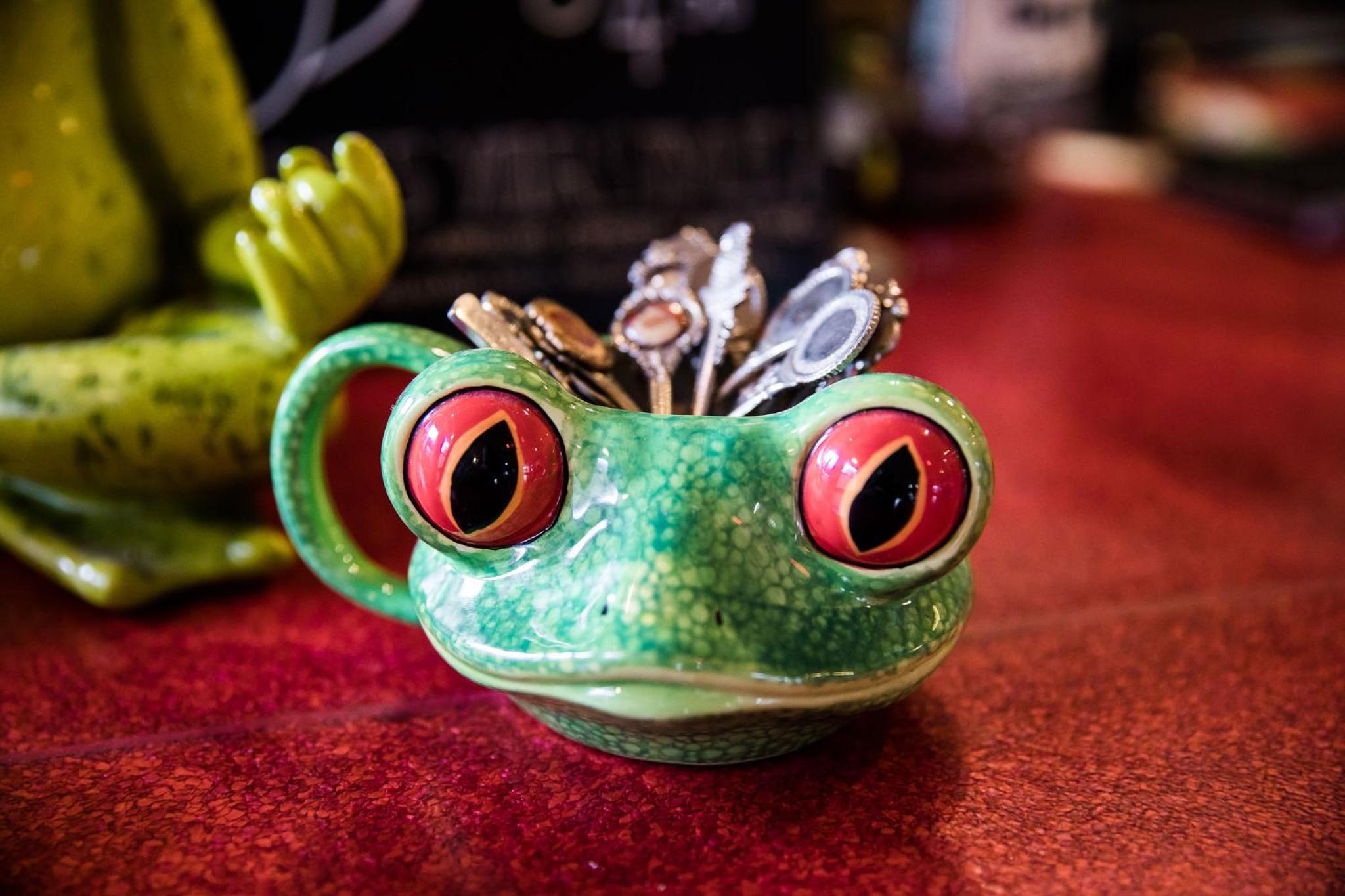 The Pickled Frog