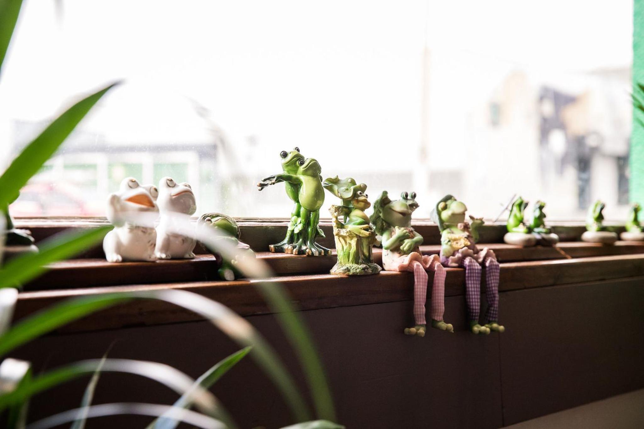 The Pickled Frog