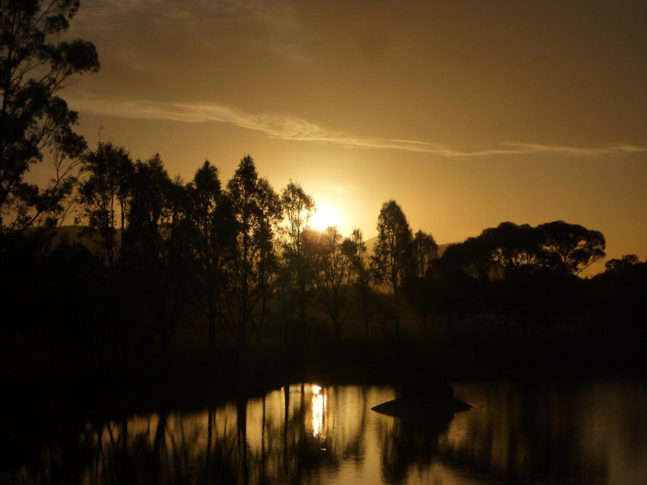 Silverpoint Estate