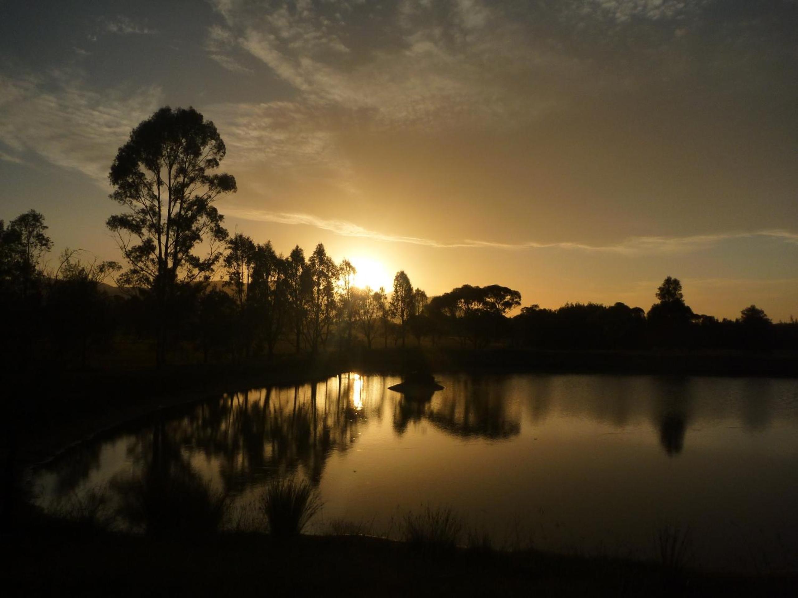 Silverpoint Estate