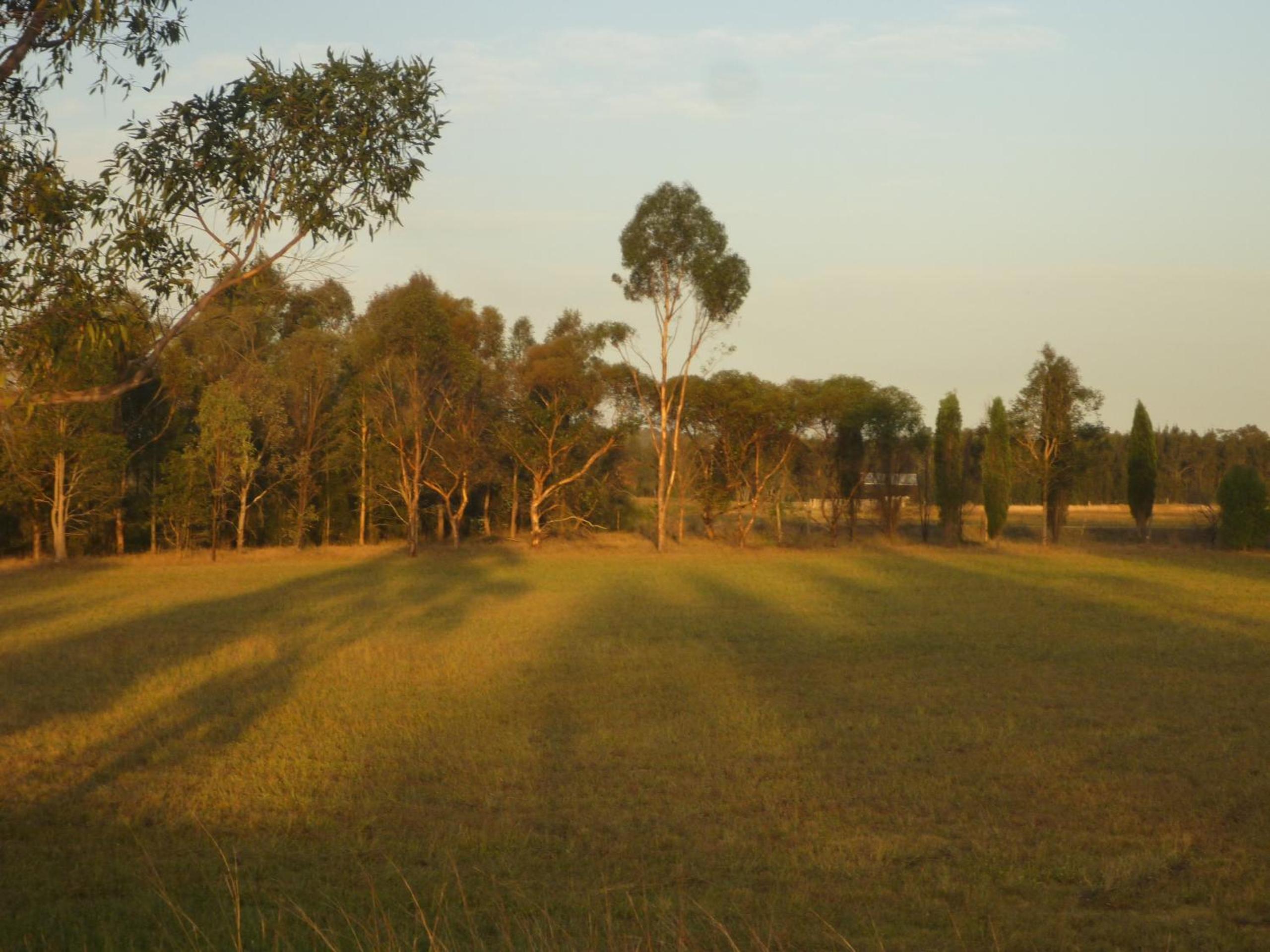 Silverpoint Estate