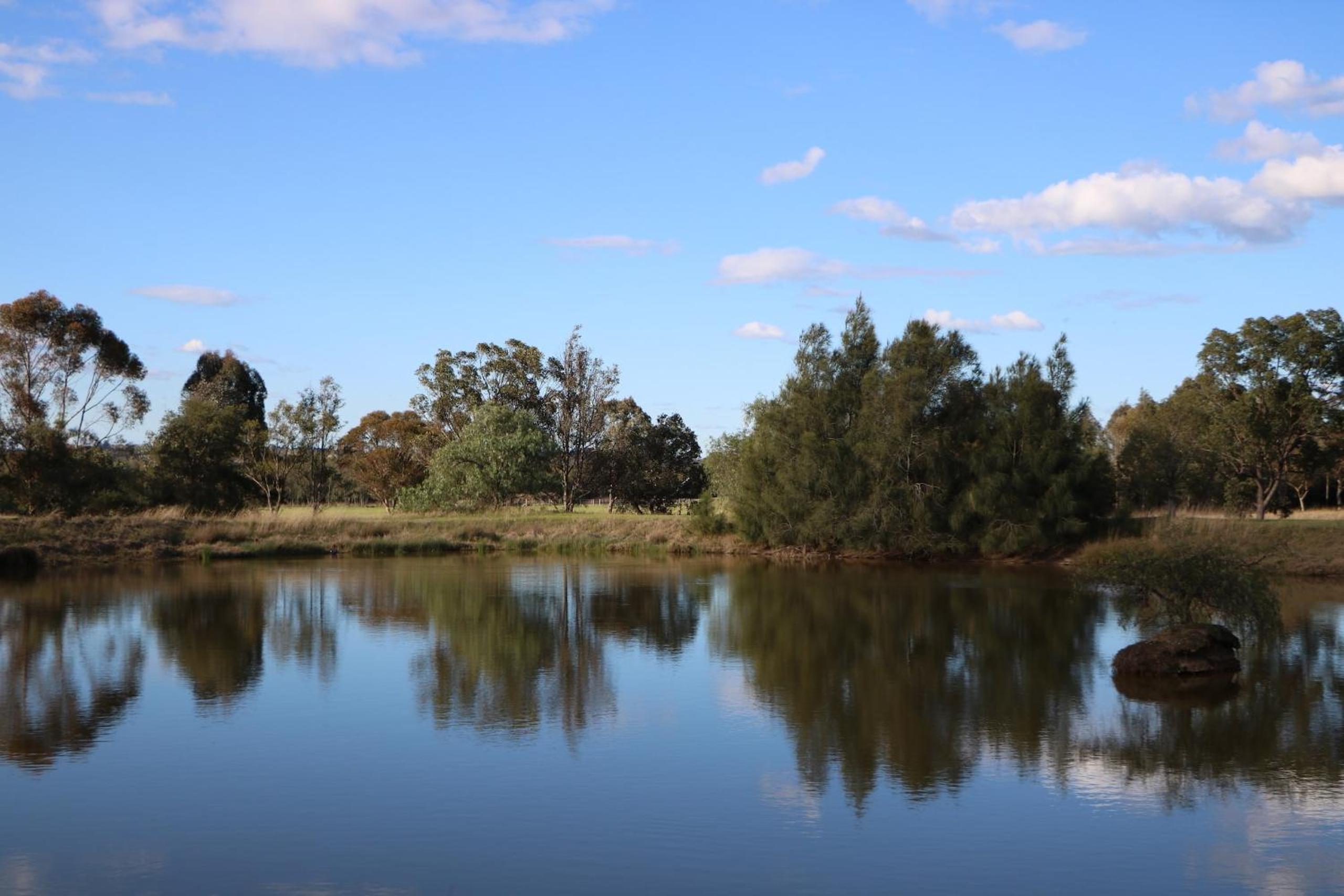 Silverpoint Estate
