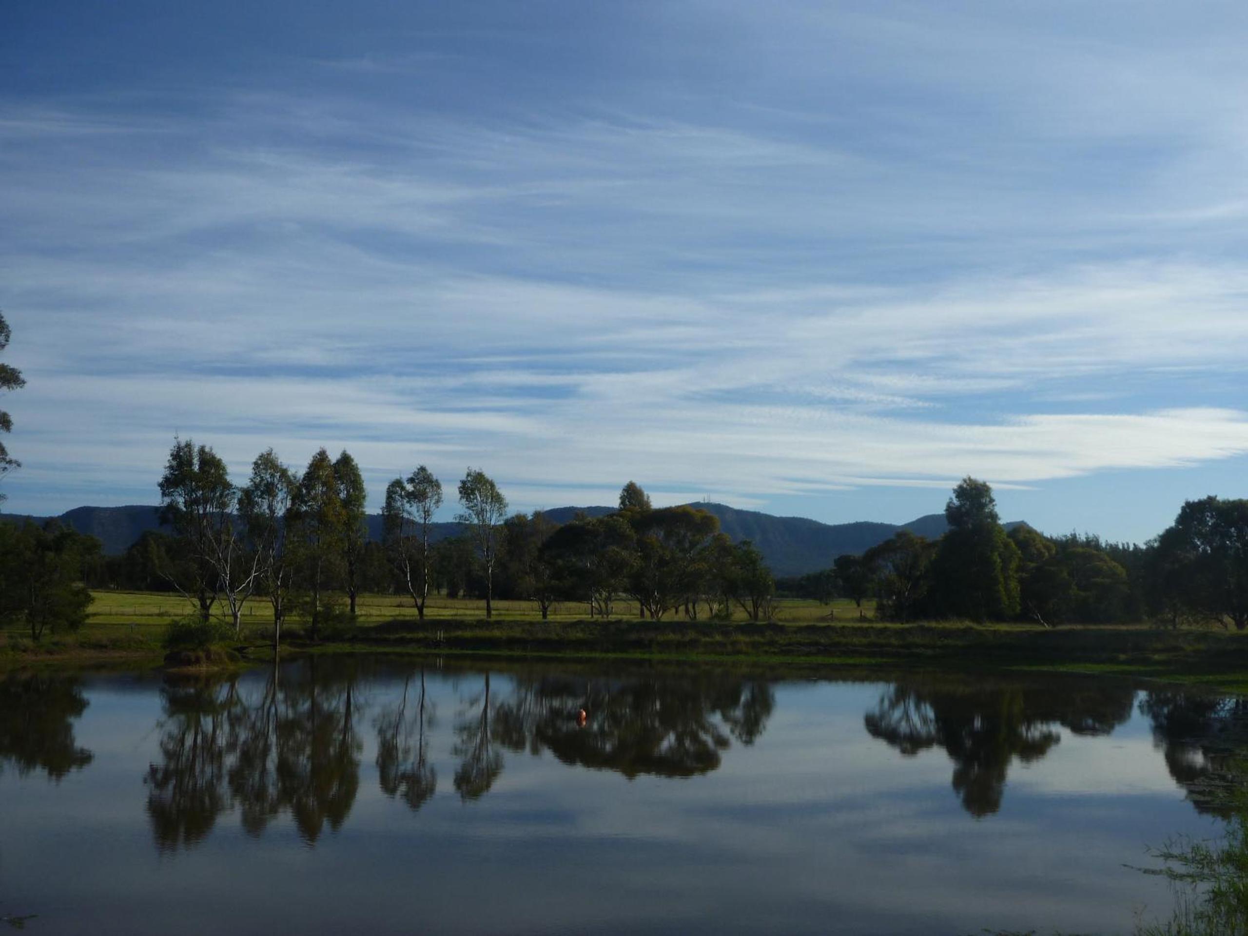 Silverpoint Estate