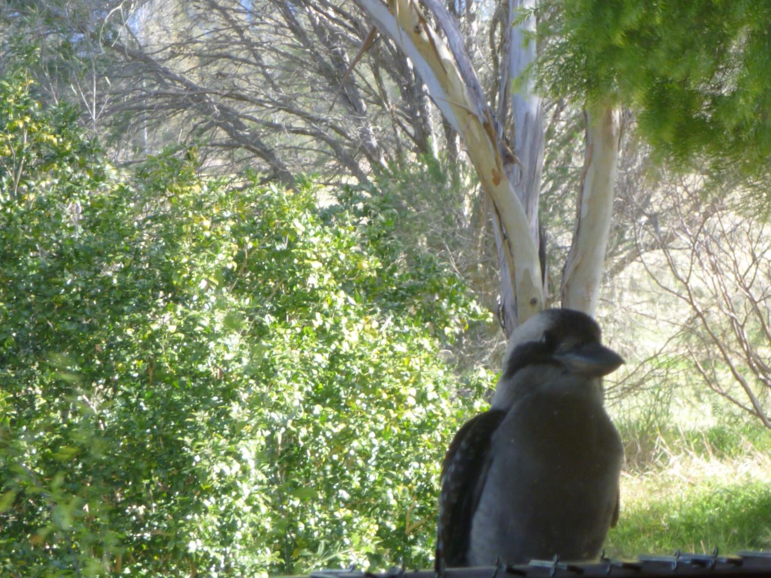 Silverpoint Estate