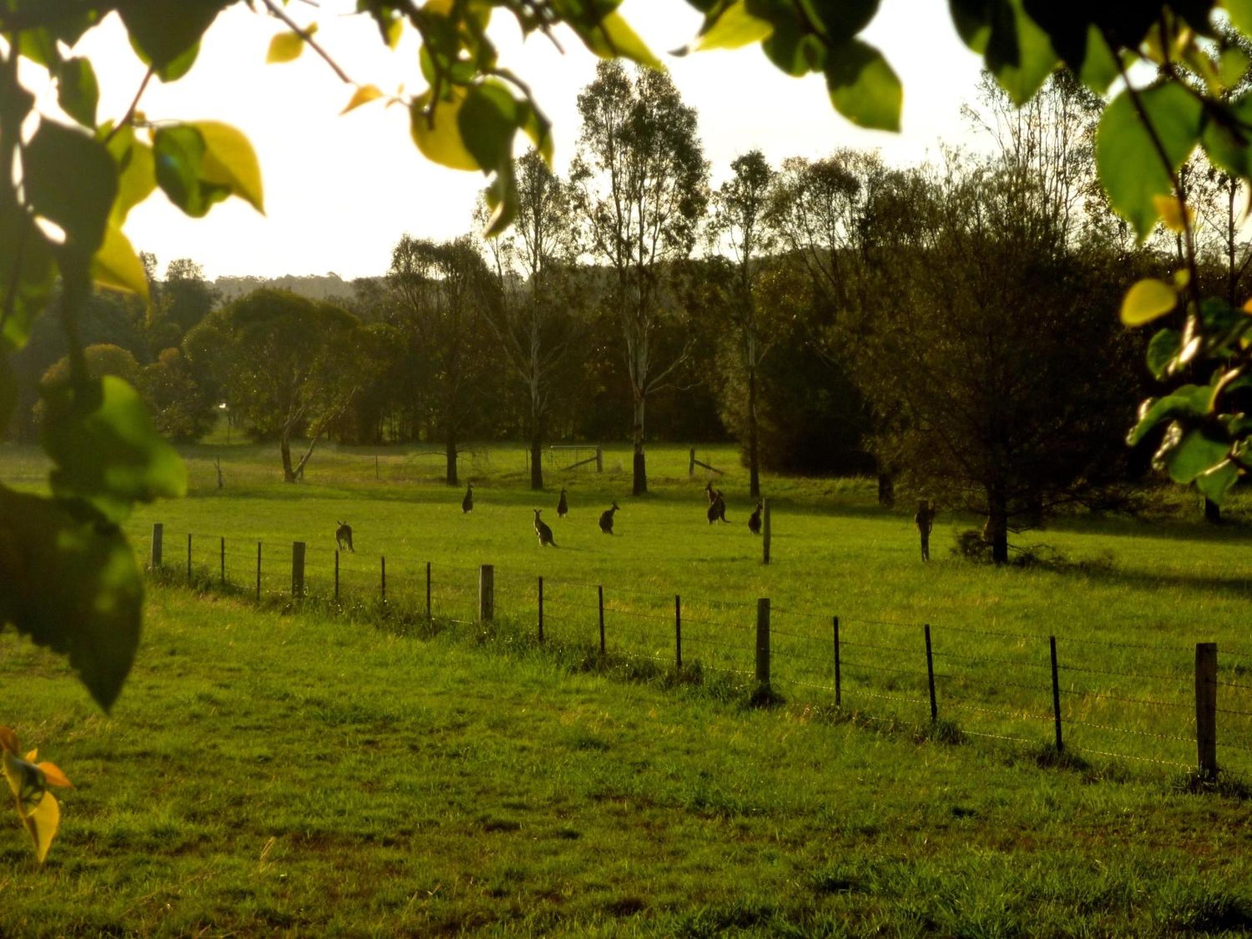 Silverpoint Estate