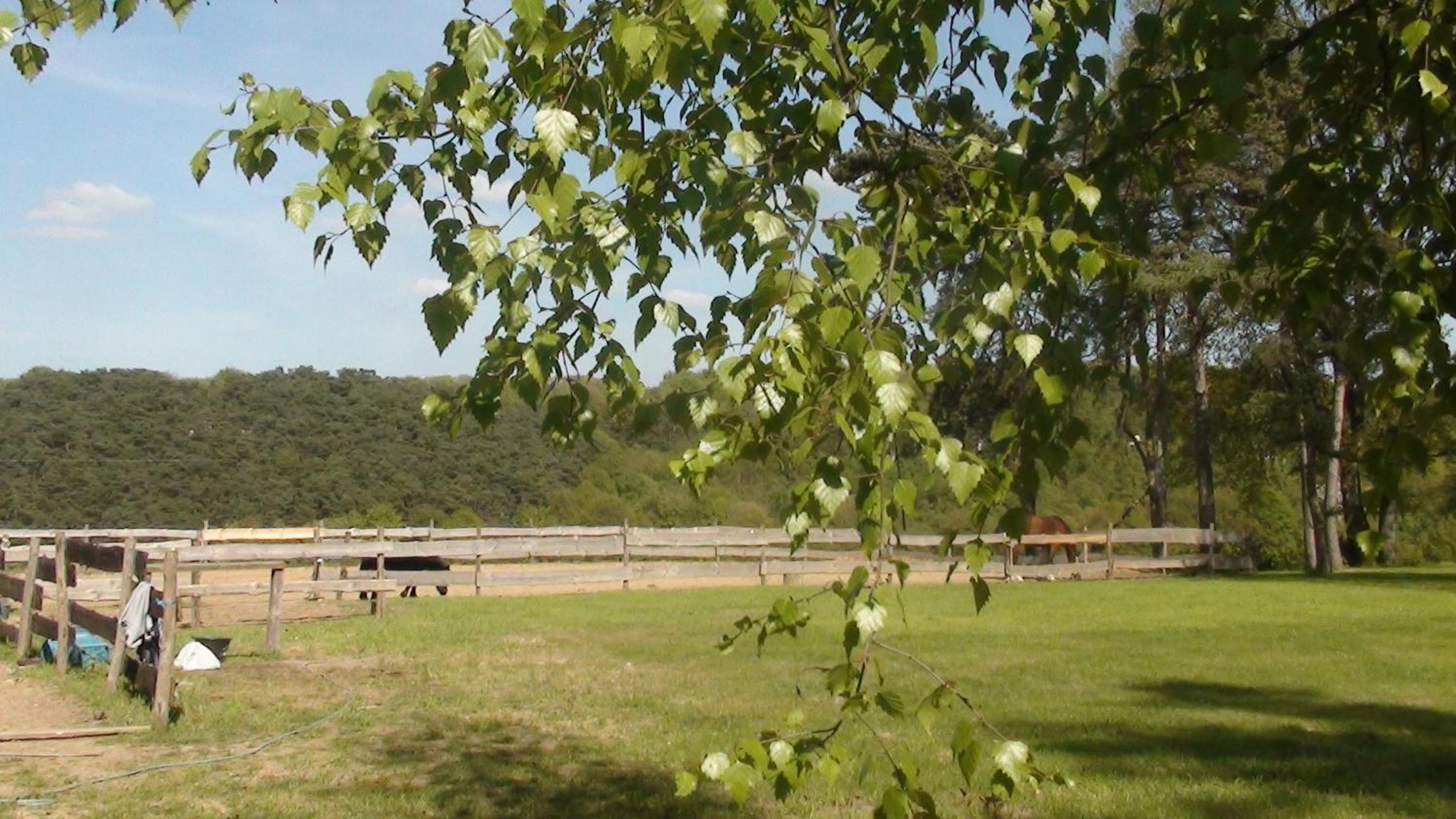 Le Goupil