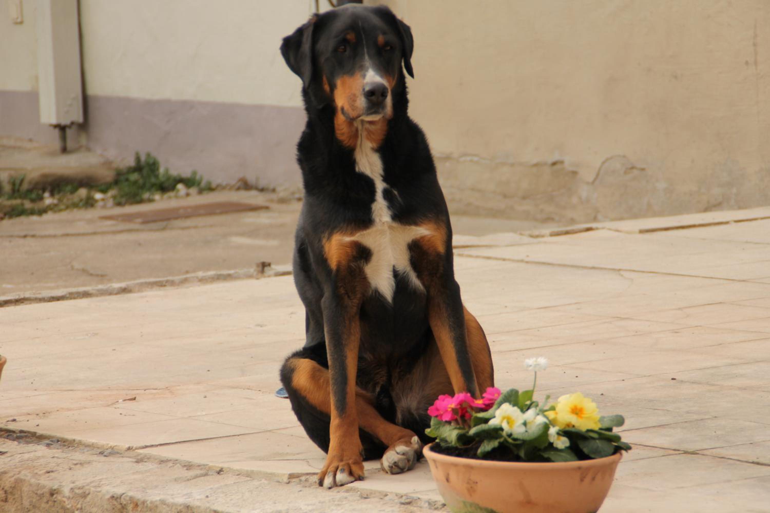Photo 40