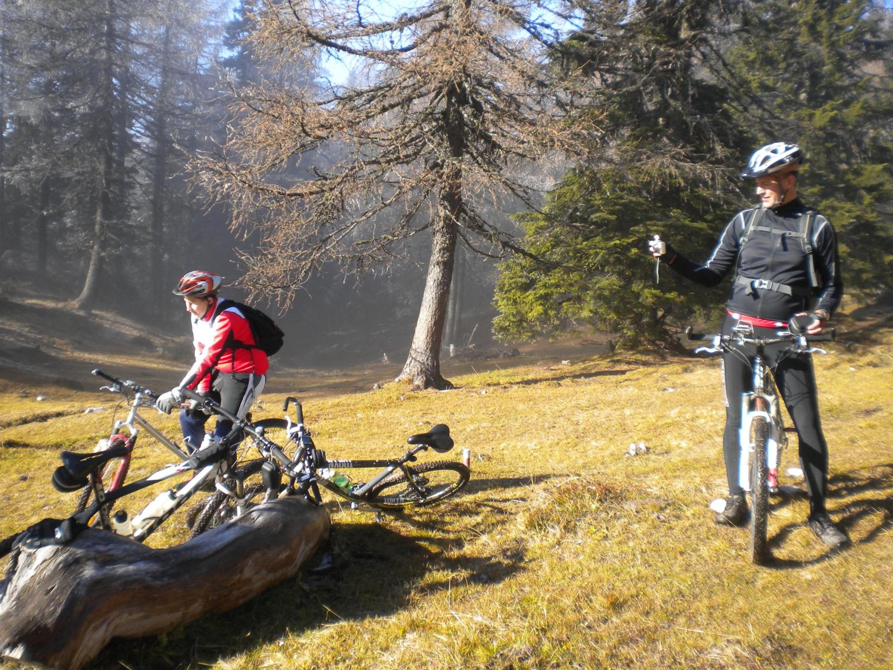 Ferienwohnungen Forellenhof Waldner