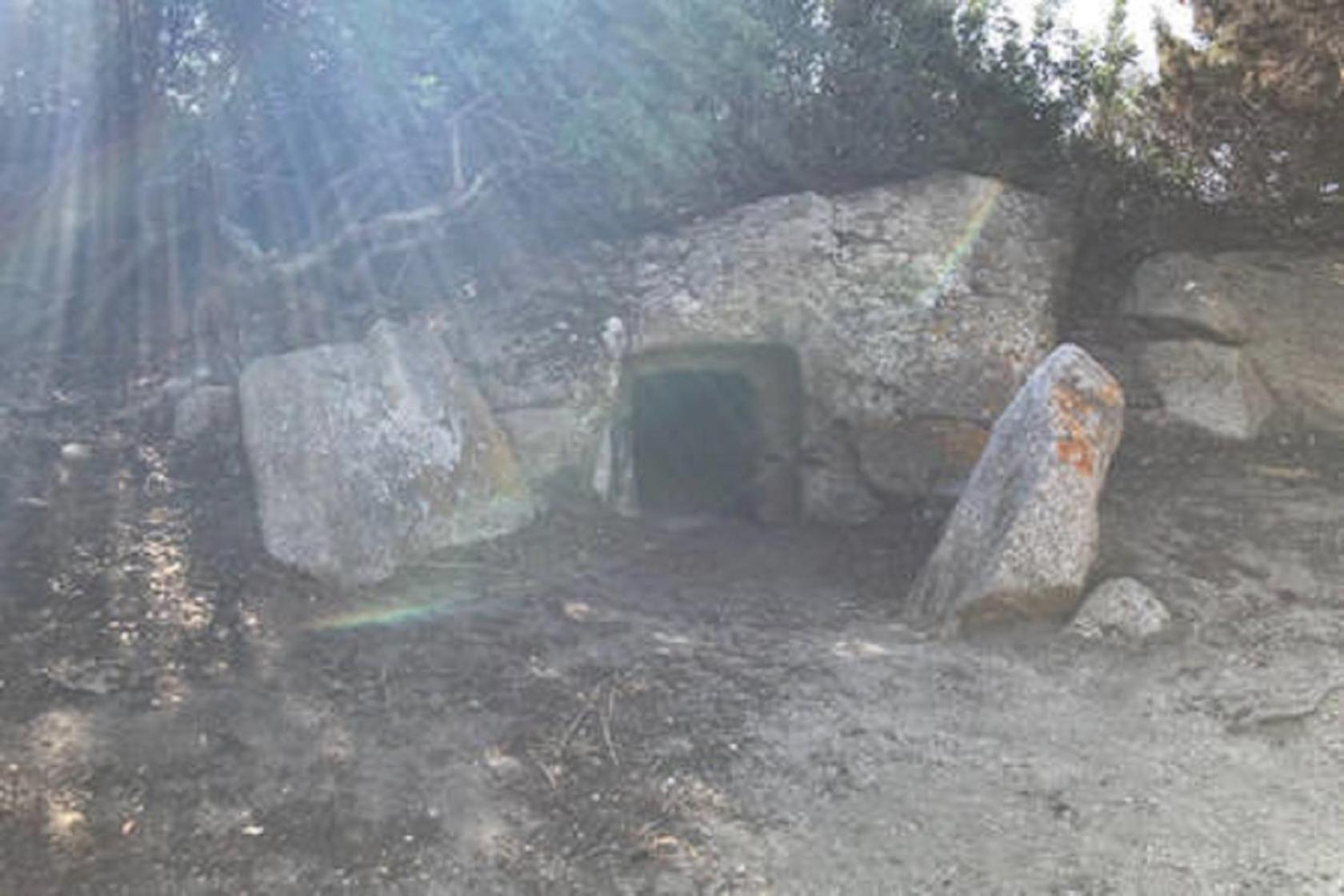 Photo 24