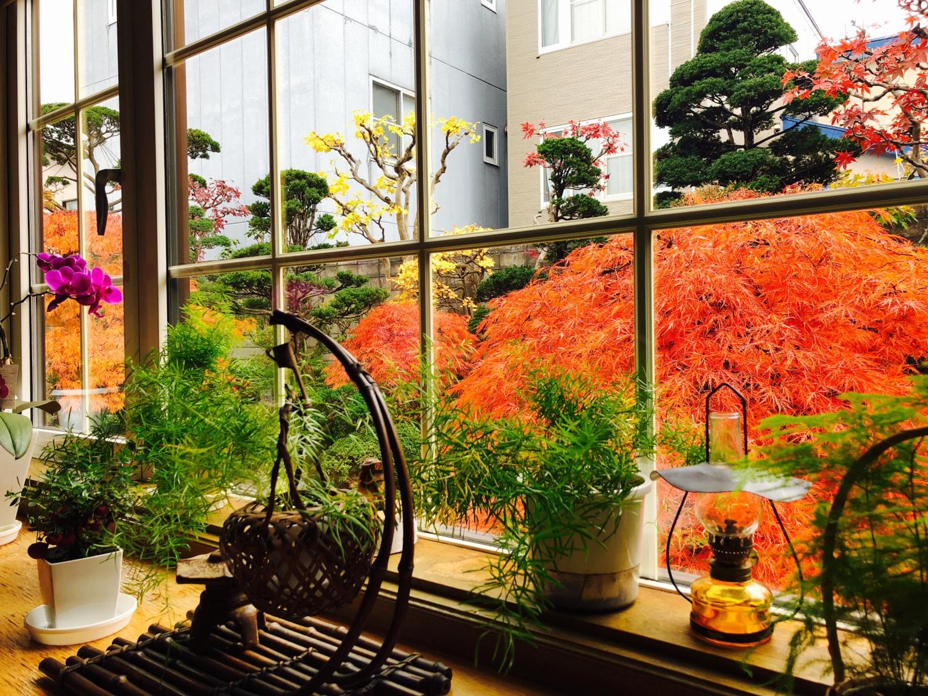 Nishikien inn 錦園