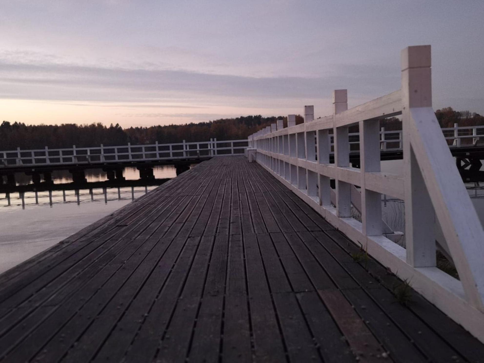 Photo 51