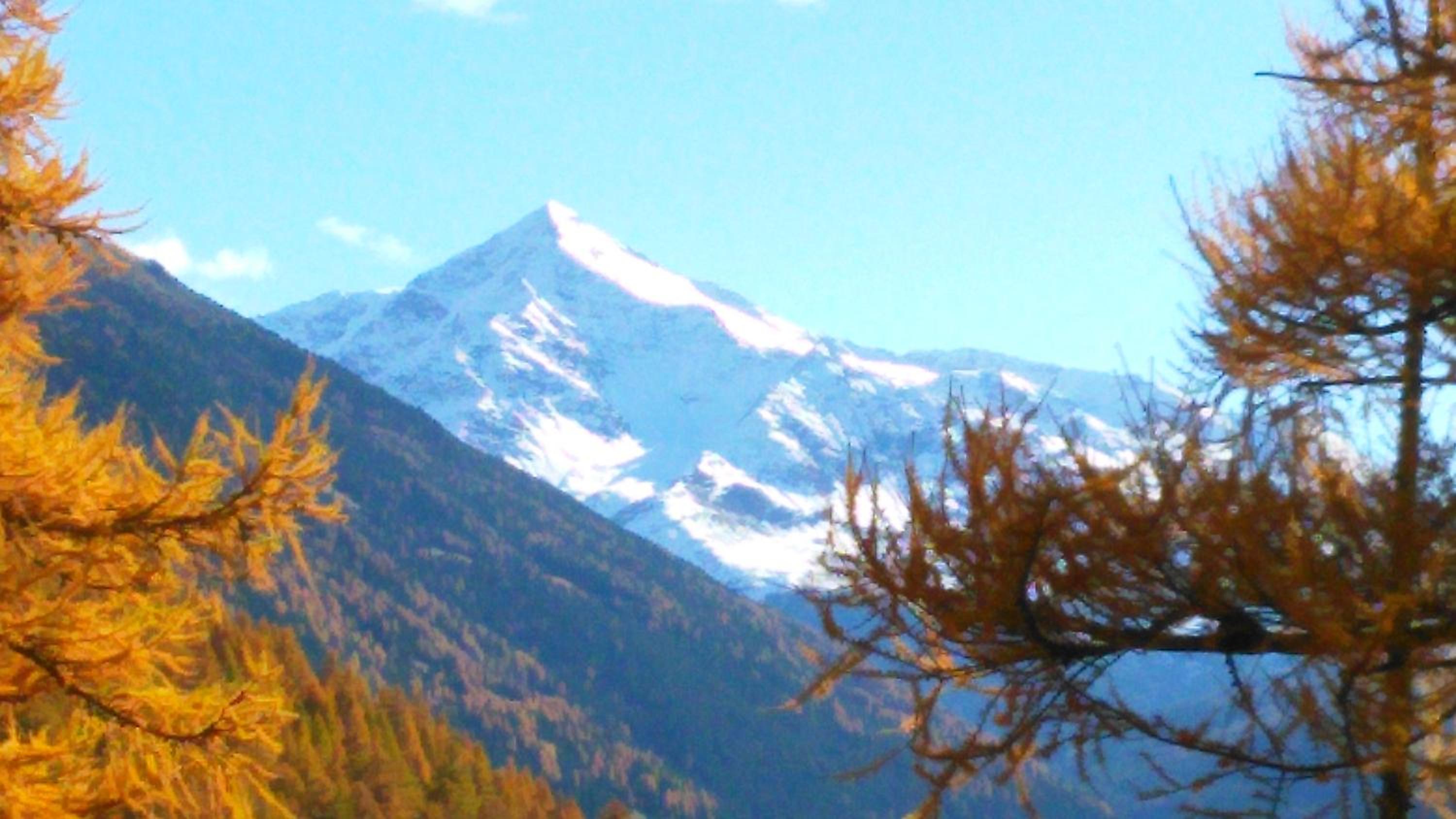 Photo 44