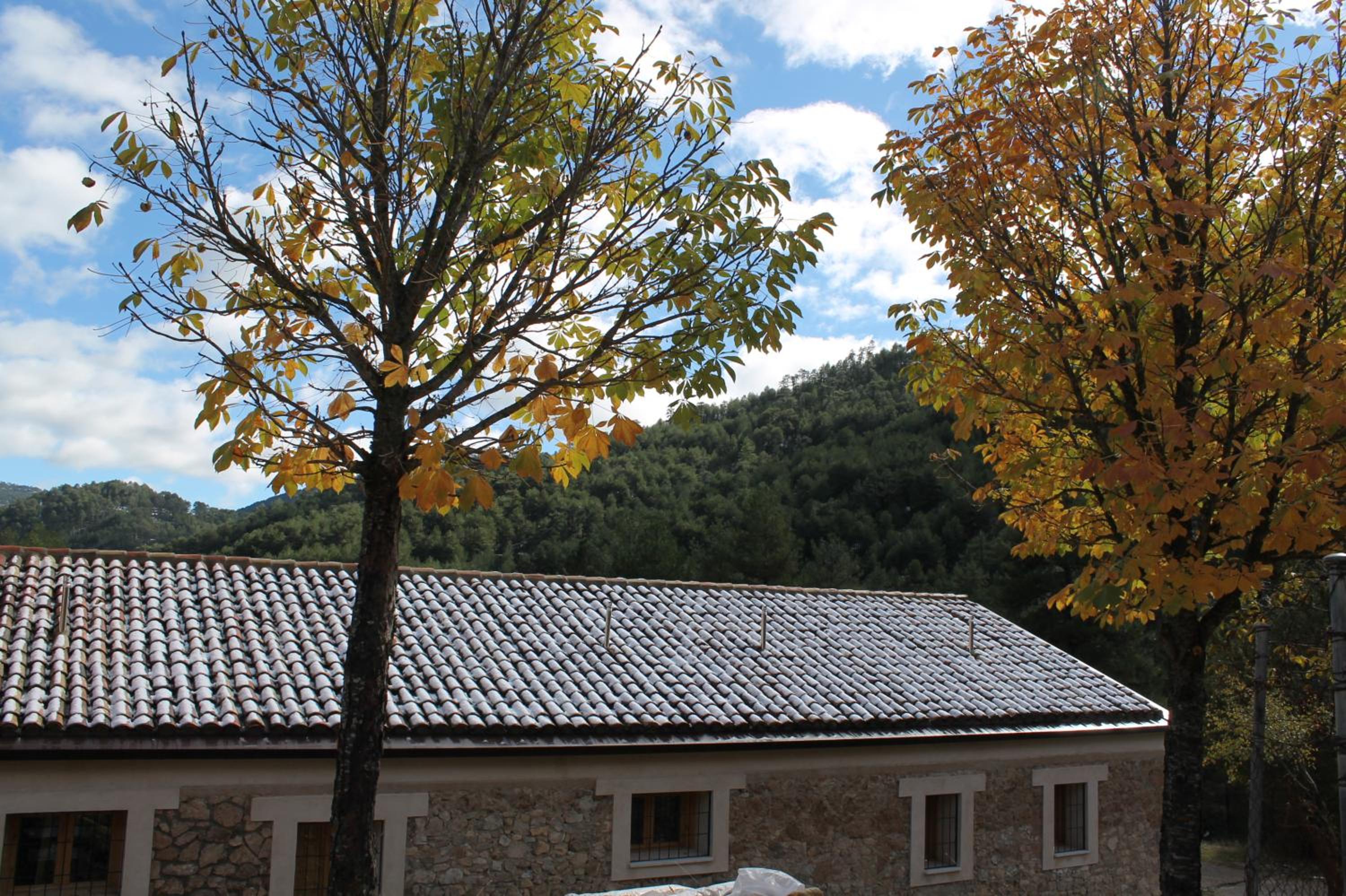 Photo 20