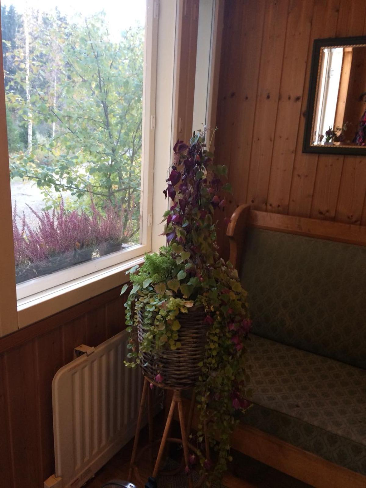 Photo 29