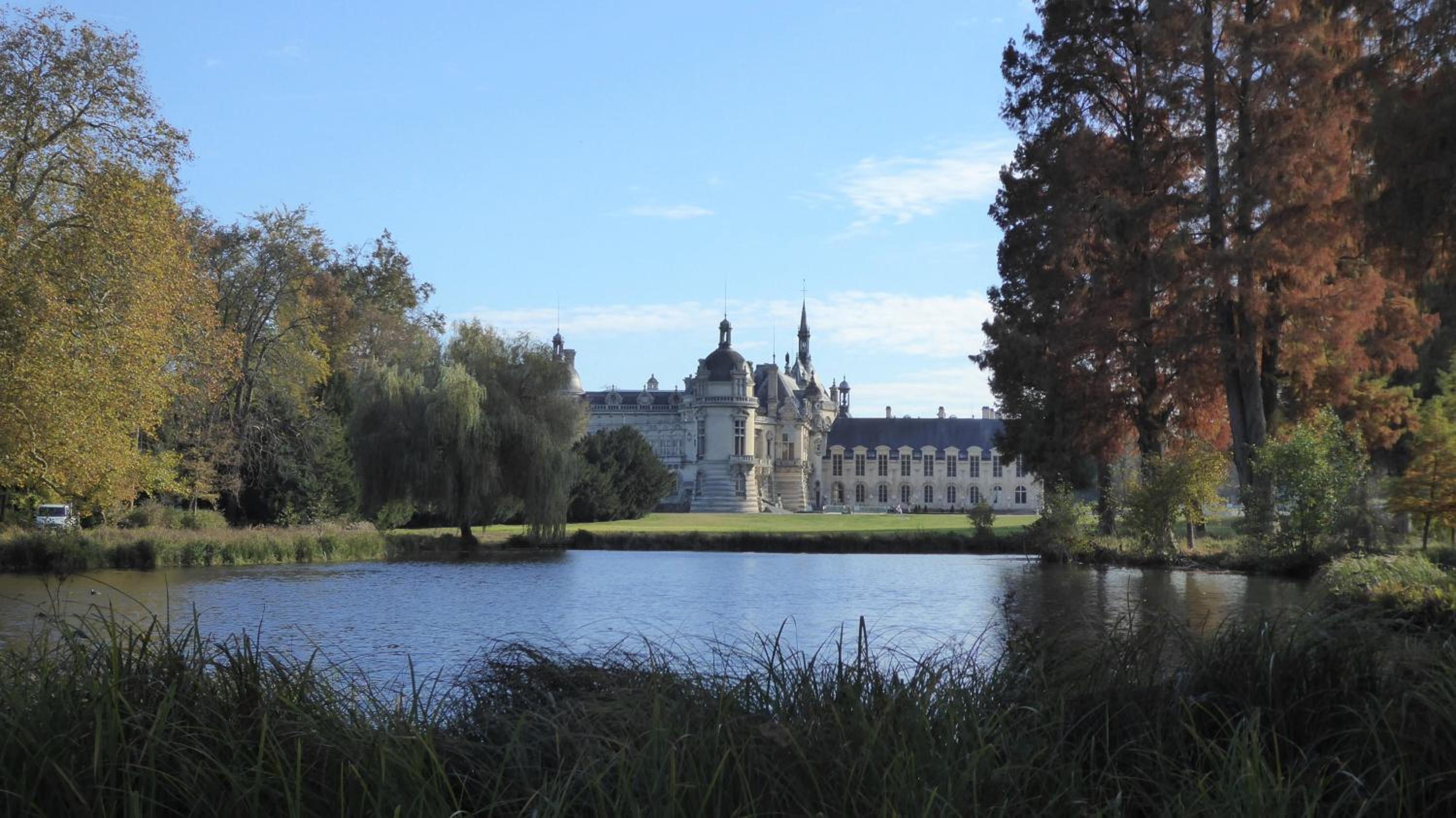 Garden Studio Chantilly, photo 21