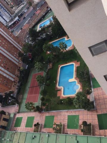 Photo 40