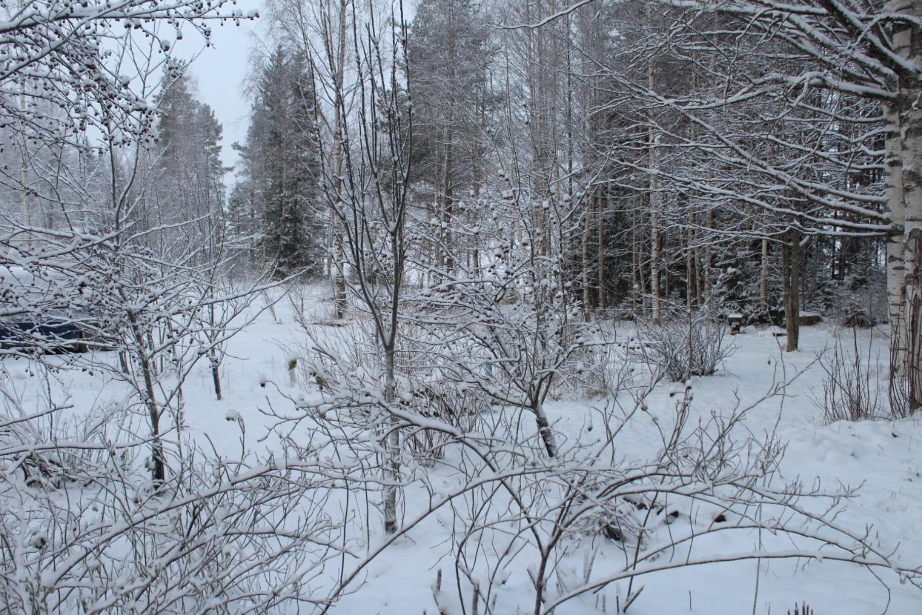 Photo 45