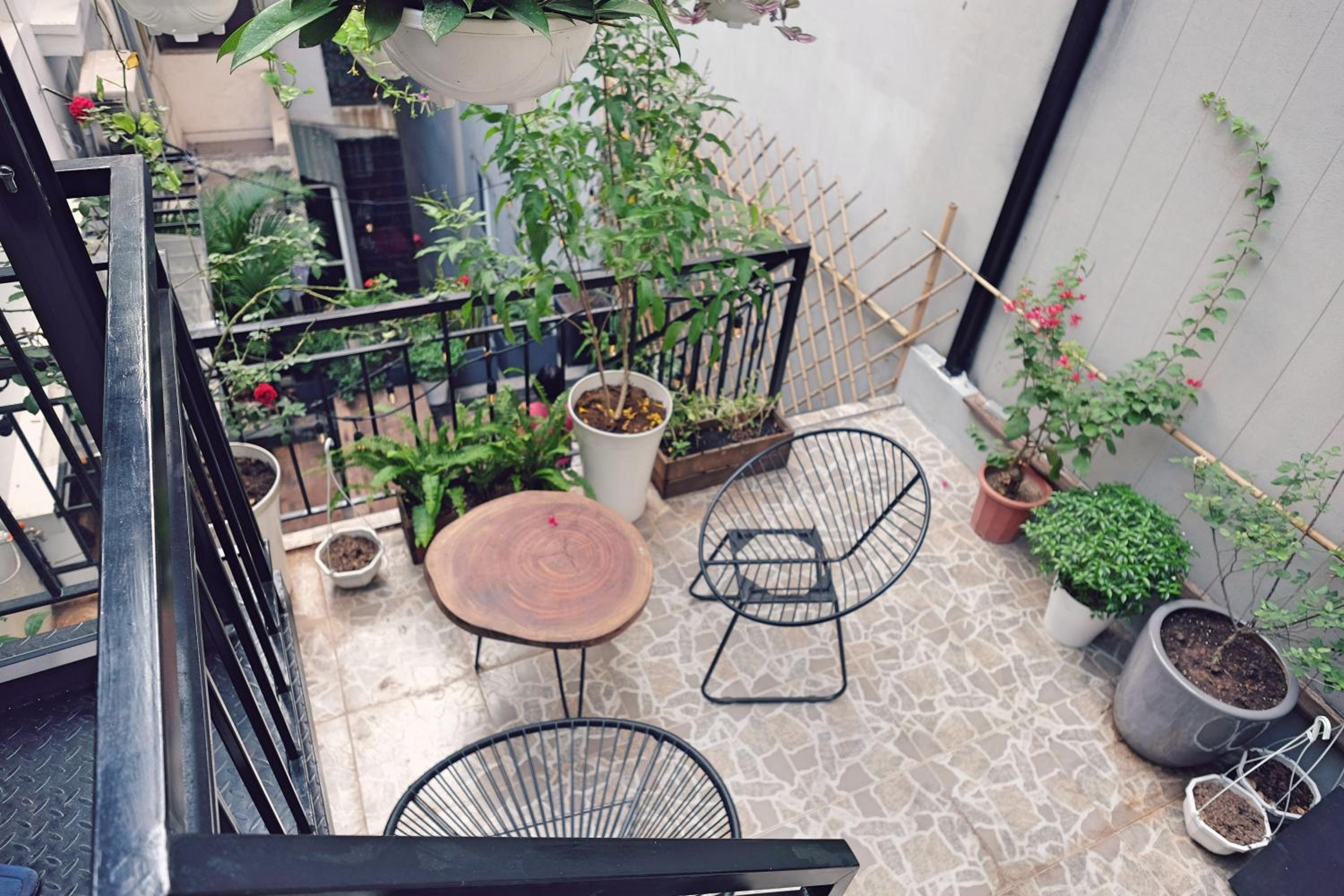 balance & terrace