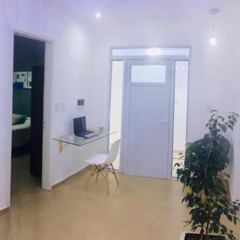 C1 Suite
