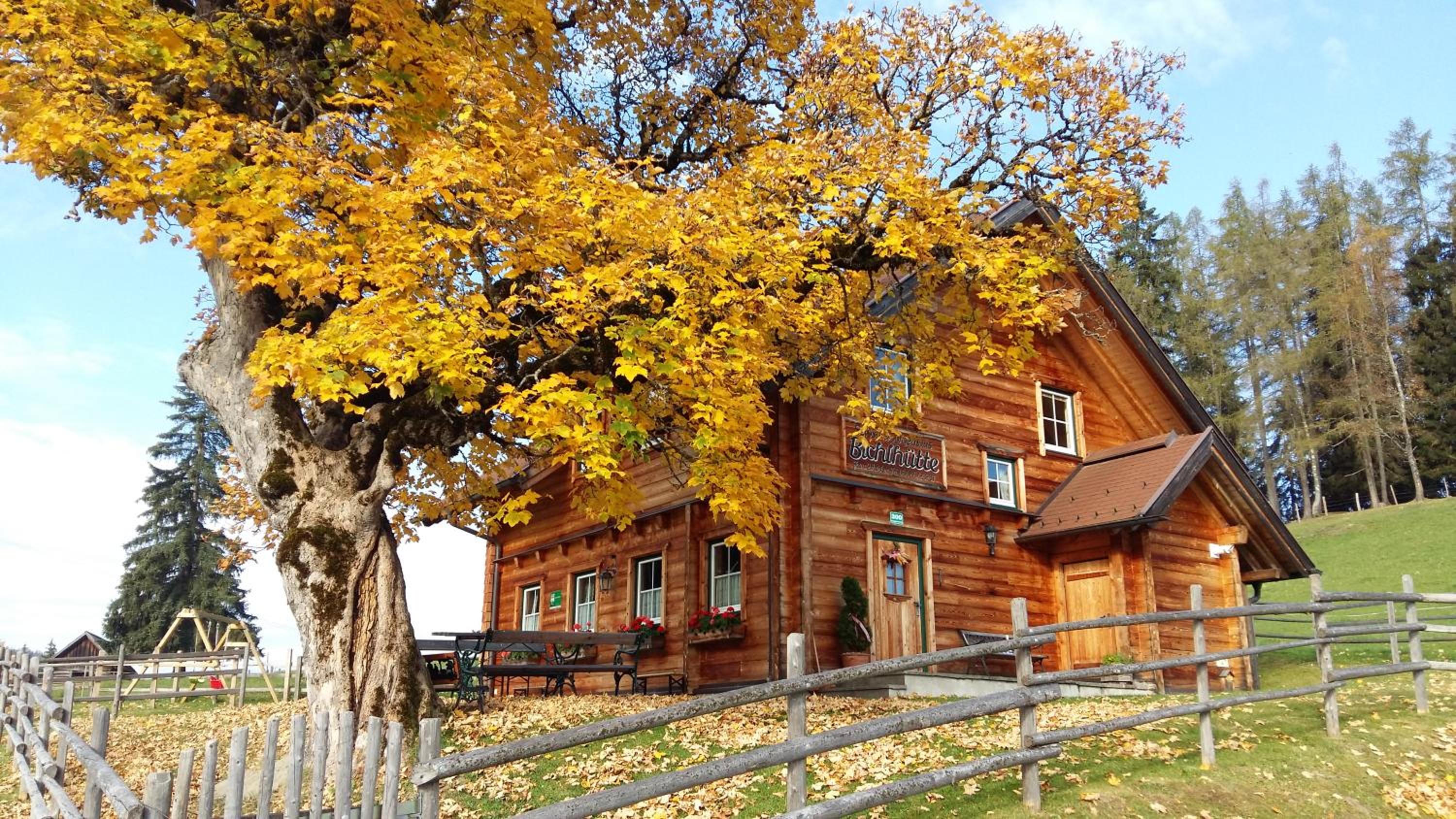 Ferienhaus Bichlhütte