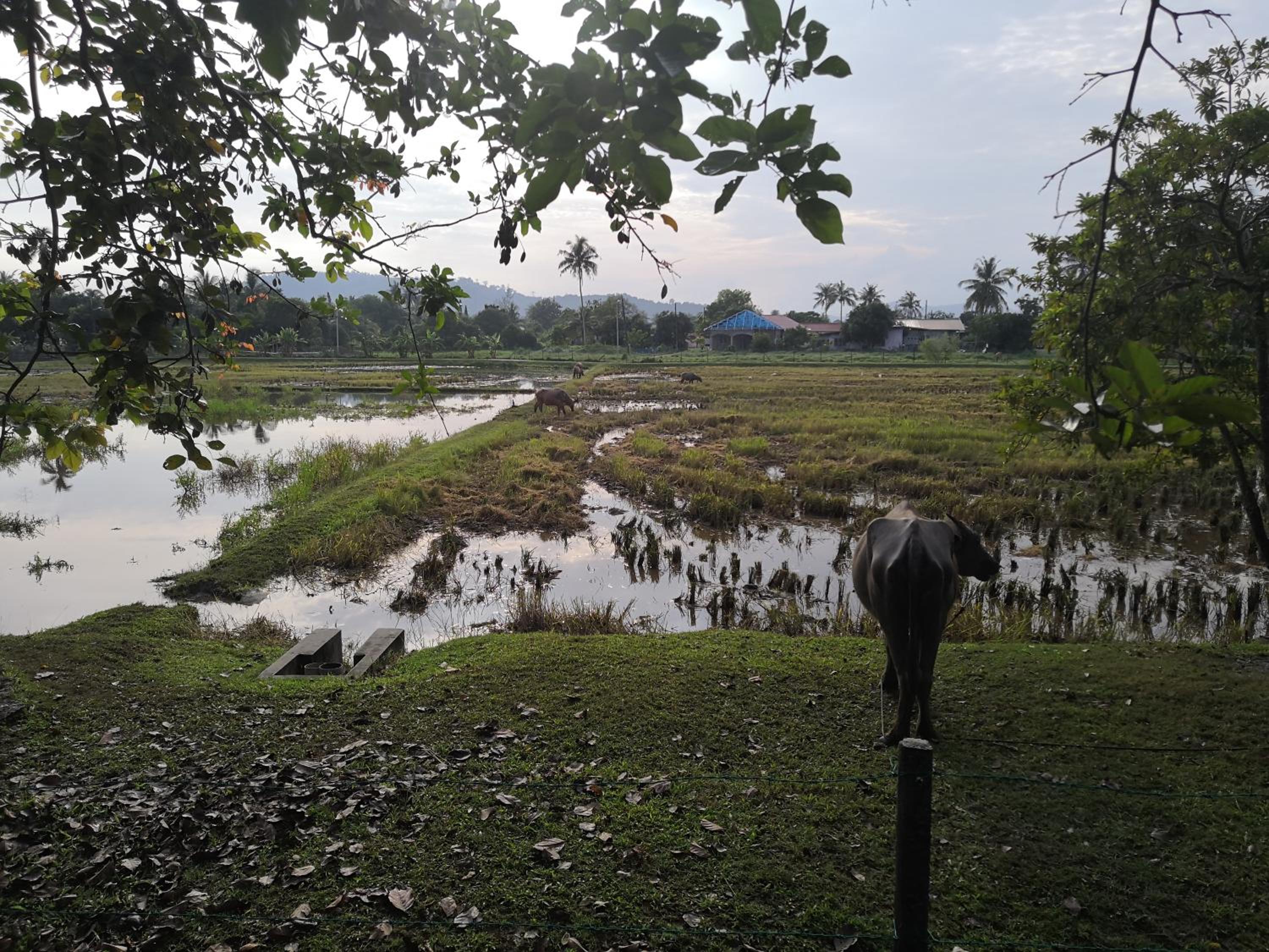 Photo 23