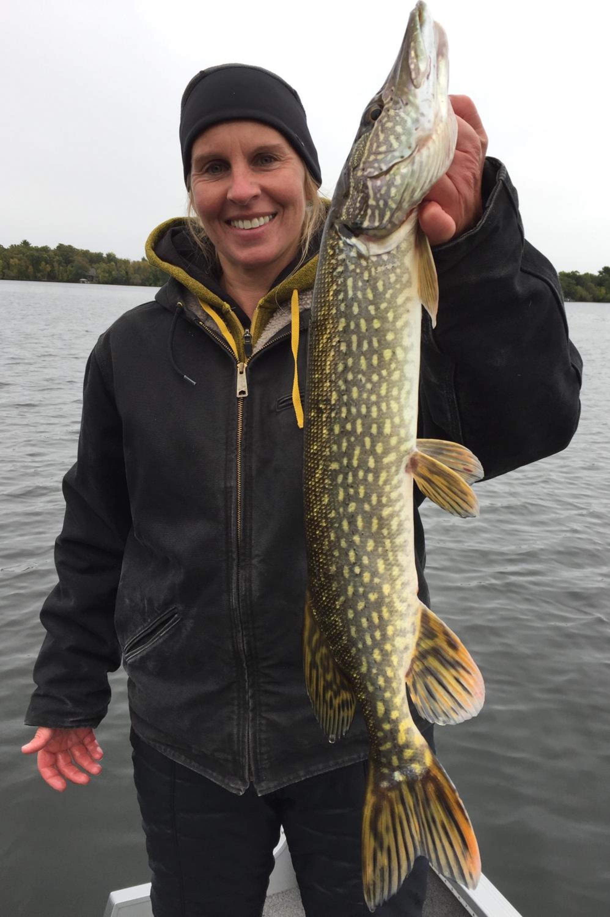 Curriers Lakeview Lodge