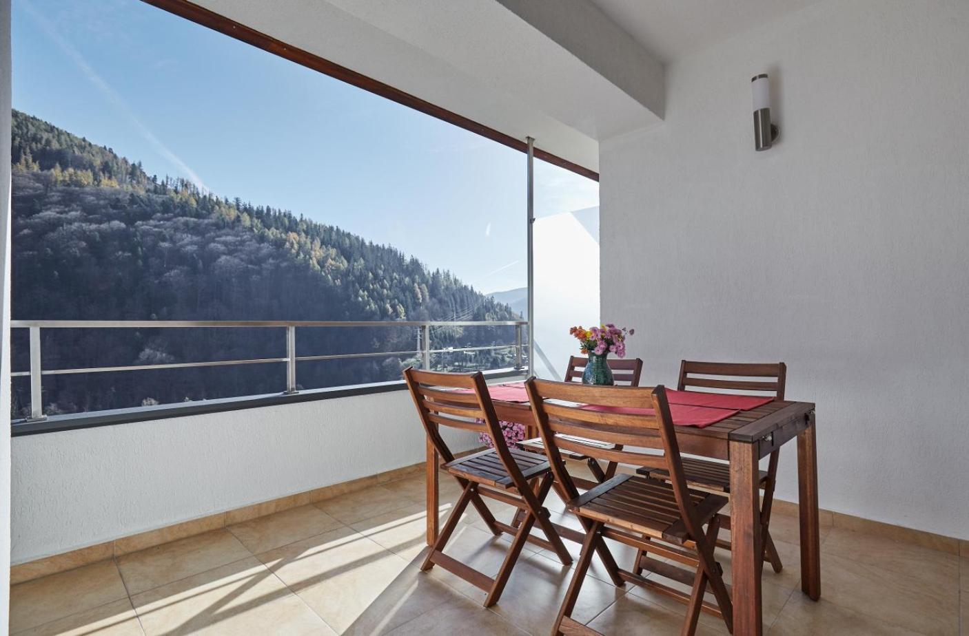 George Apartment Sinaia view 5