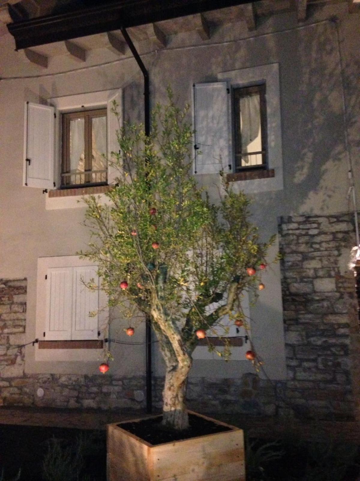 Photo 45