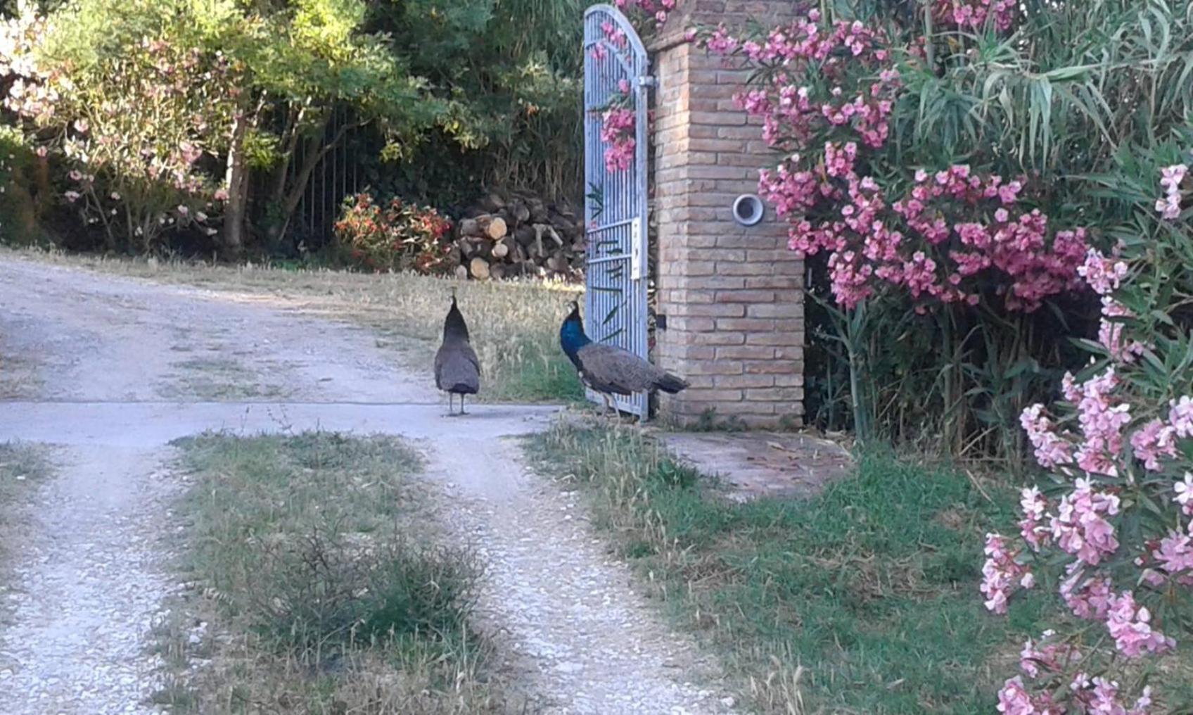 Photo 40