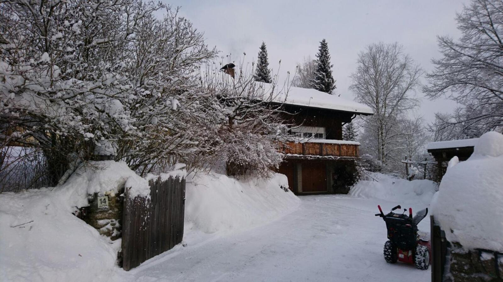 Photo 16