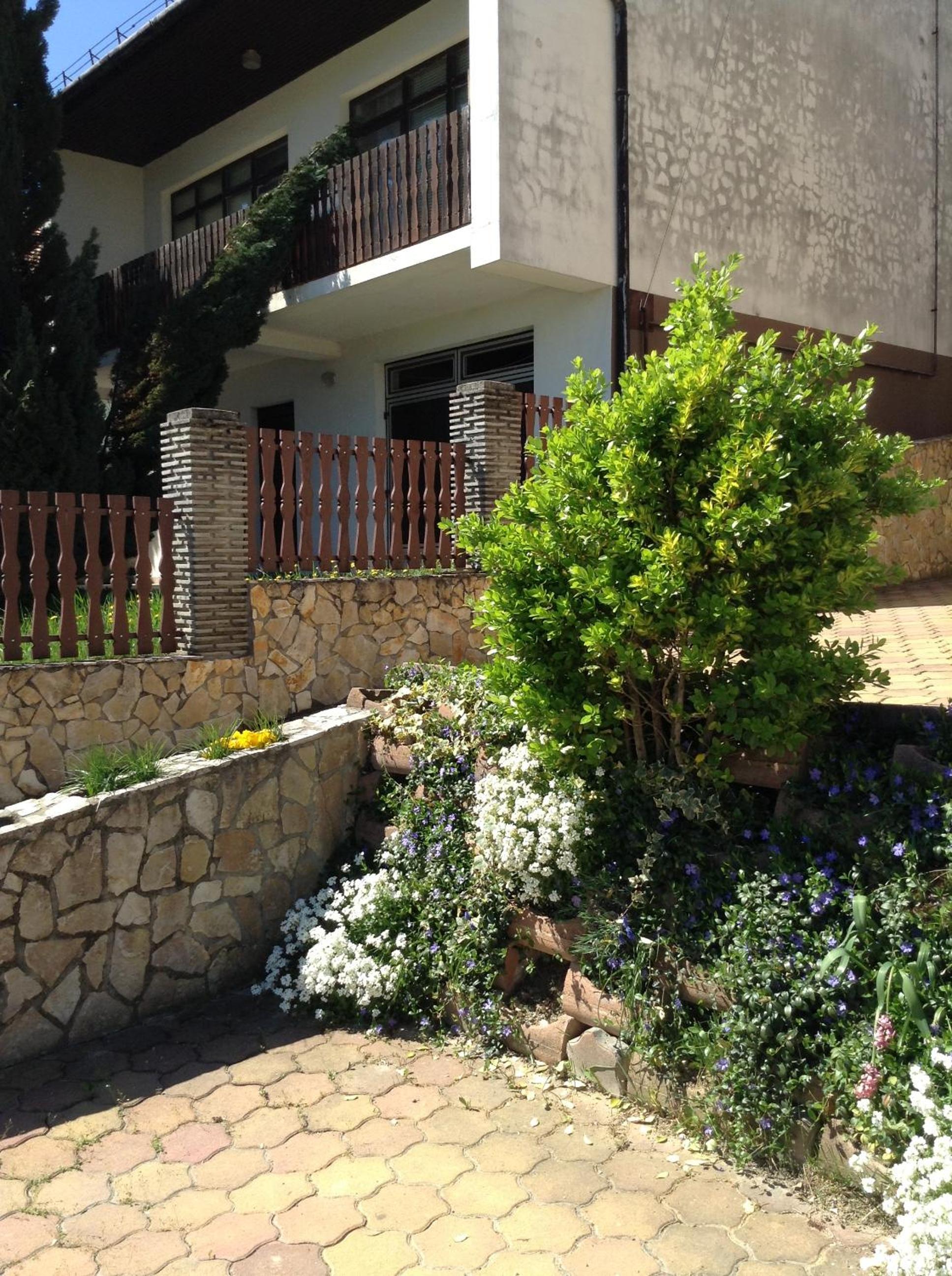 Photo 7