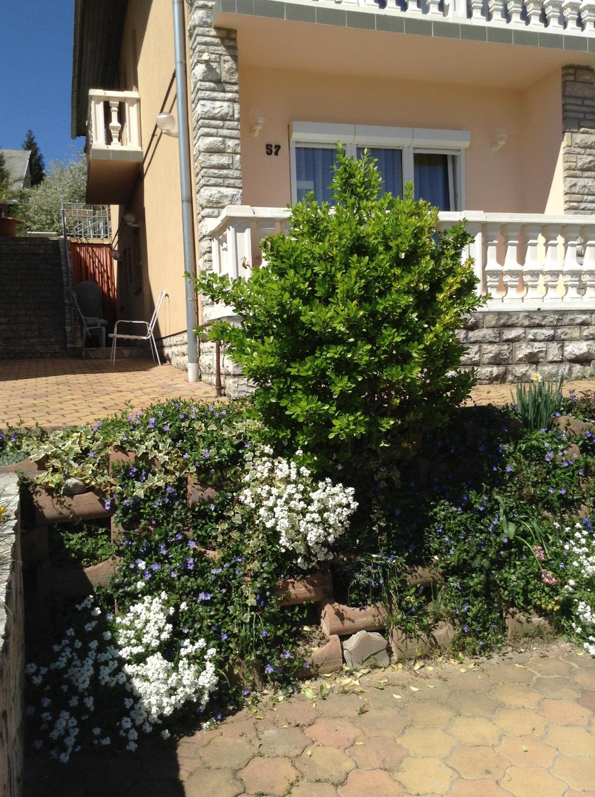 Photo 36