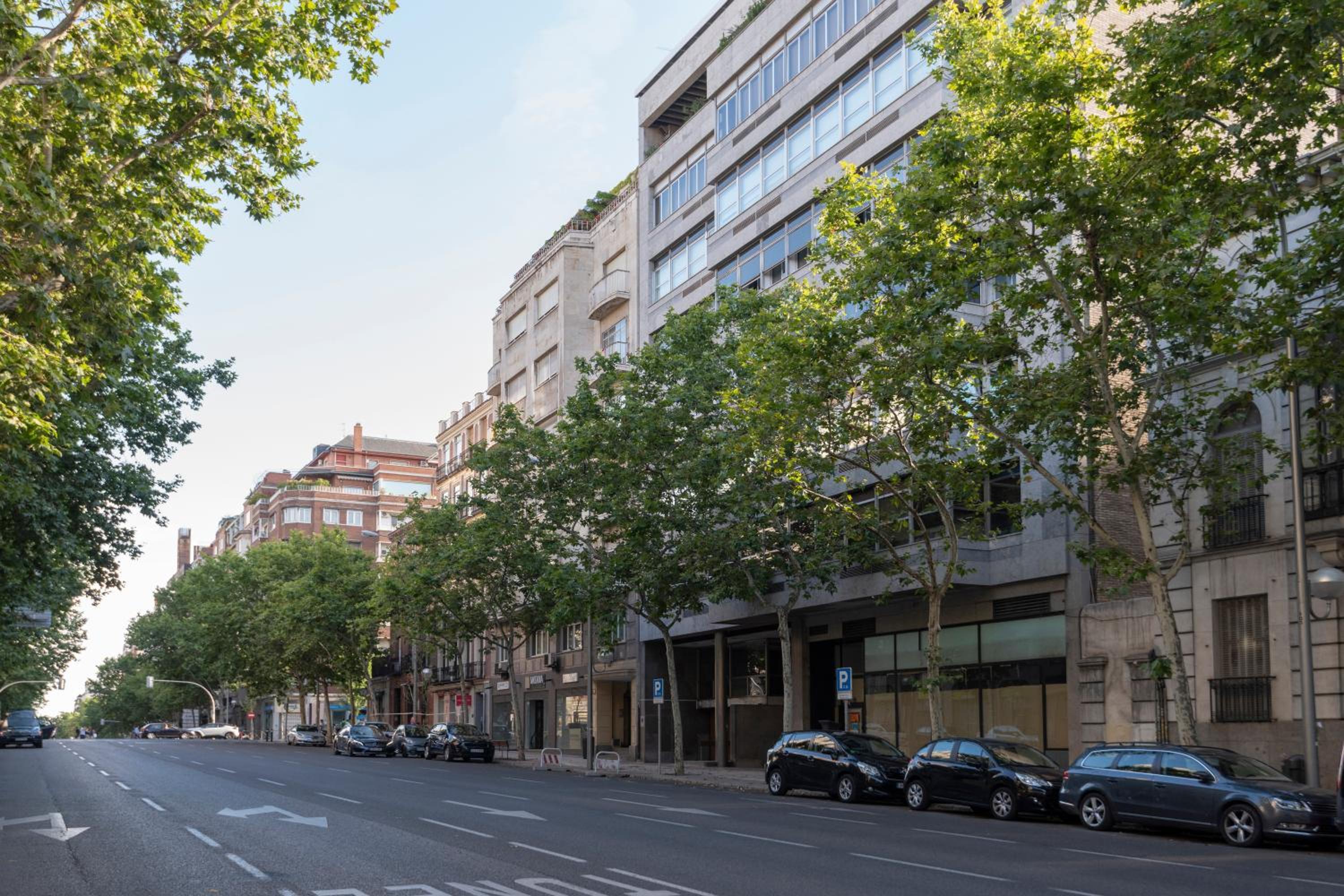 Unique stylish - 2bd2bth - salamanca view 4
