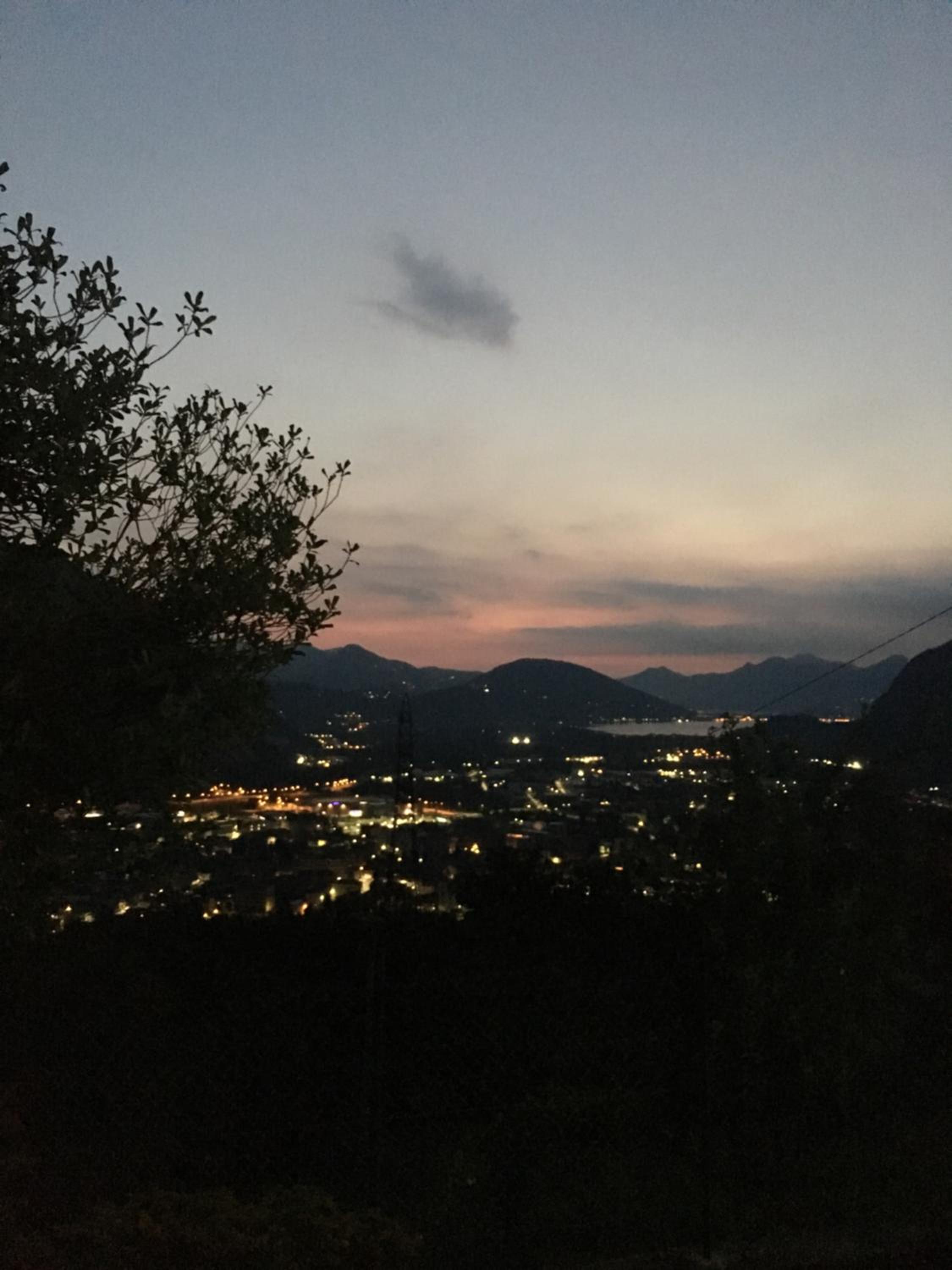 Il riccio di Ricciano