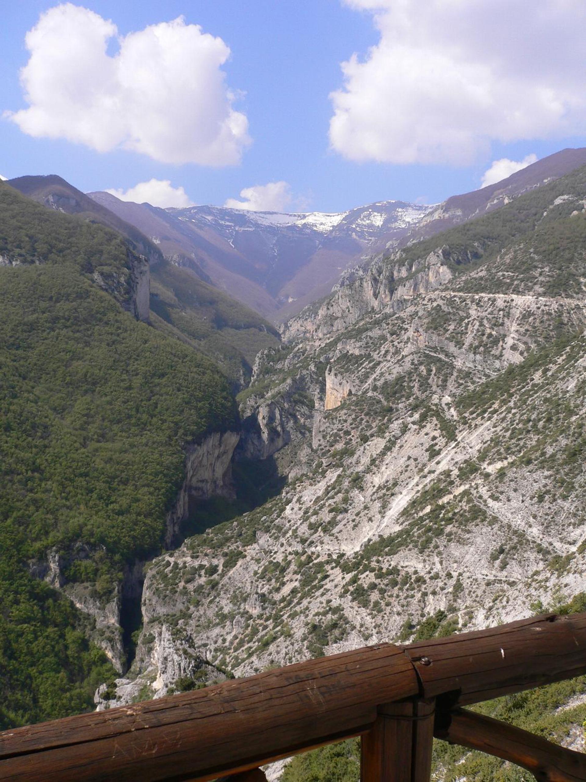 Photo 41