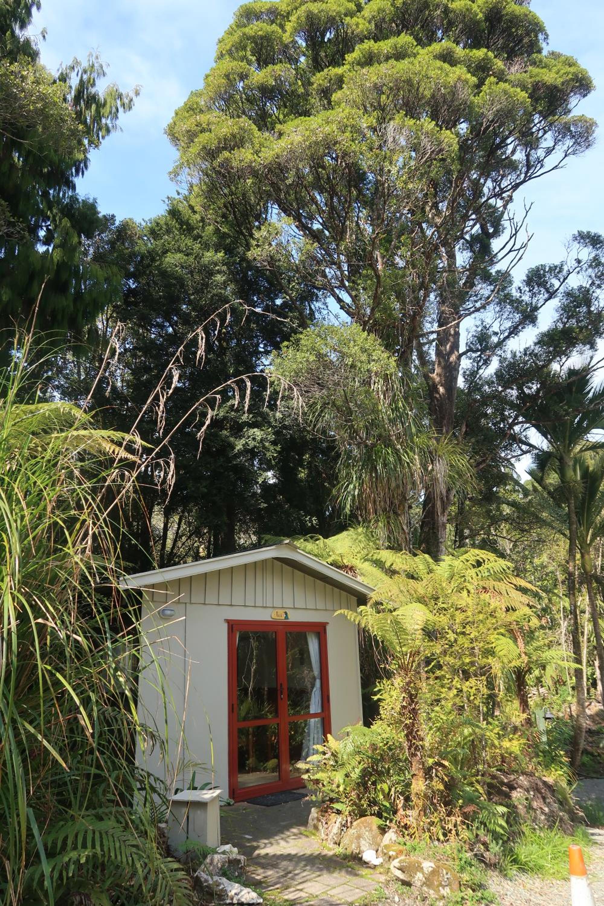 Te Nikau Retreat
