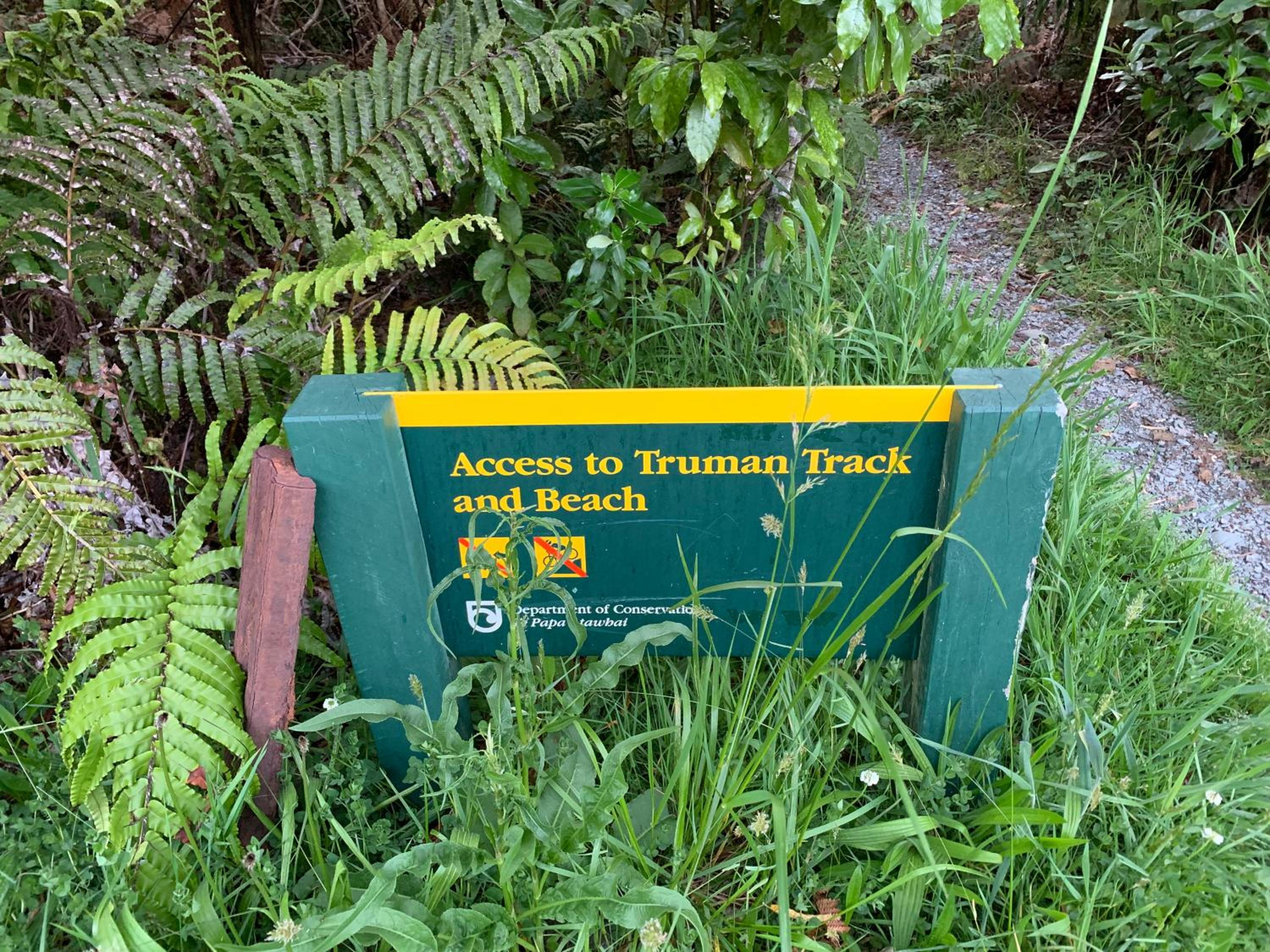 Te Nikau Retreat