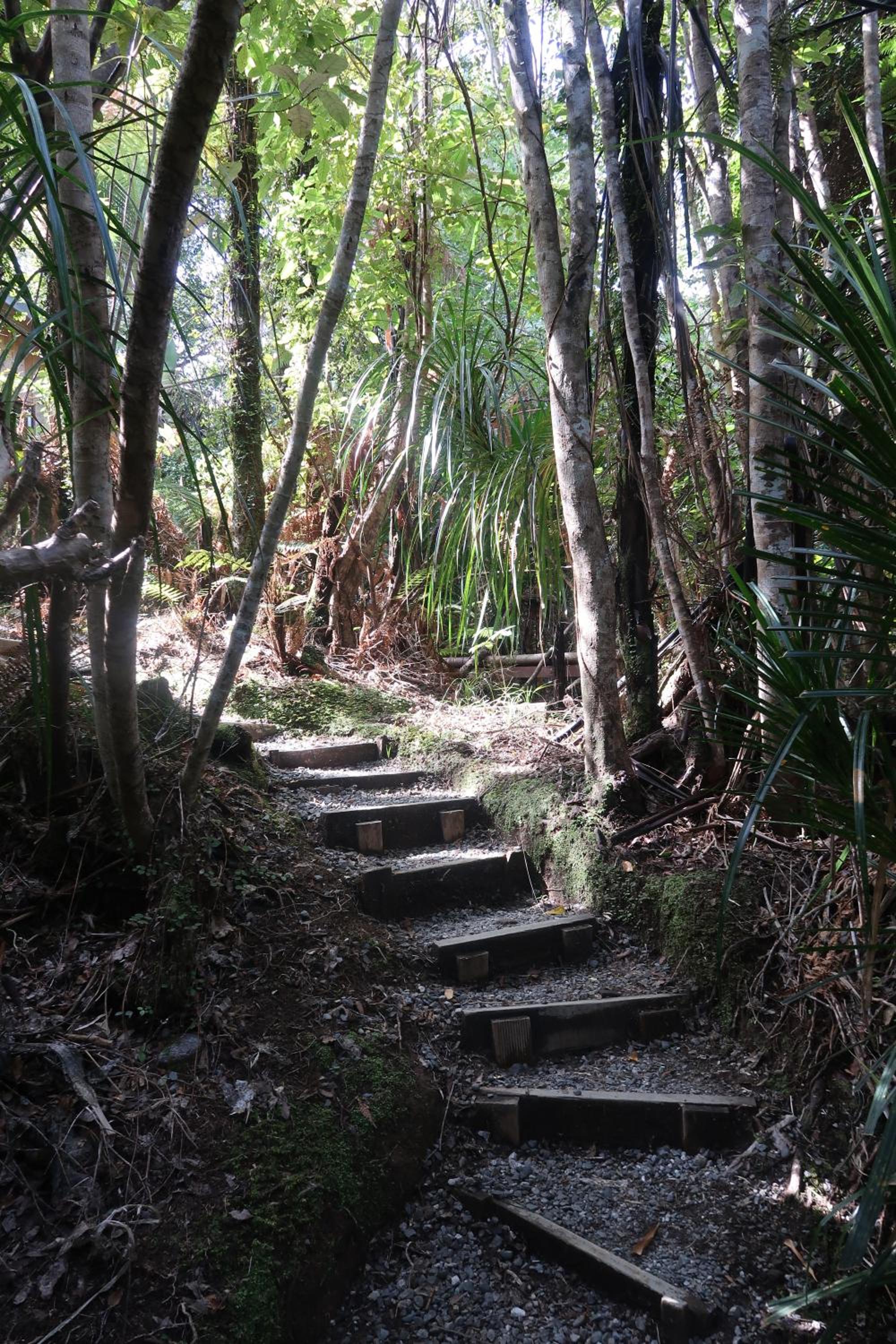 Te Nikau Retreat