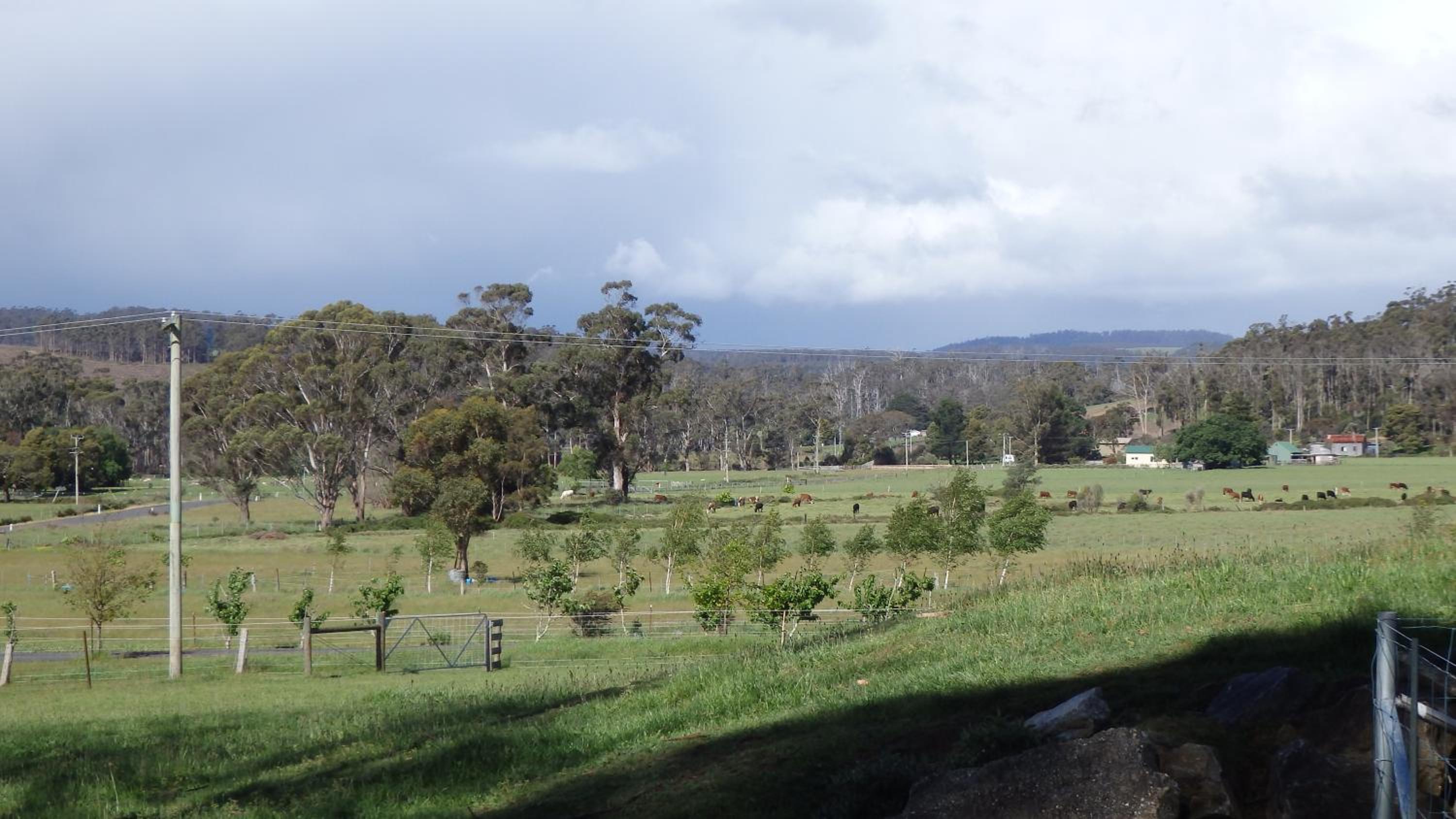 Karoola Cottage Self Contained view 4