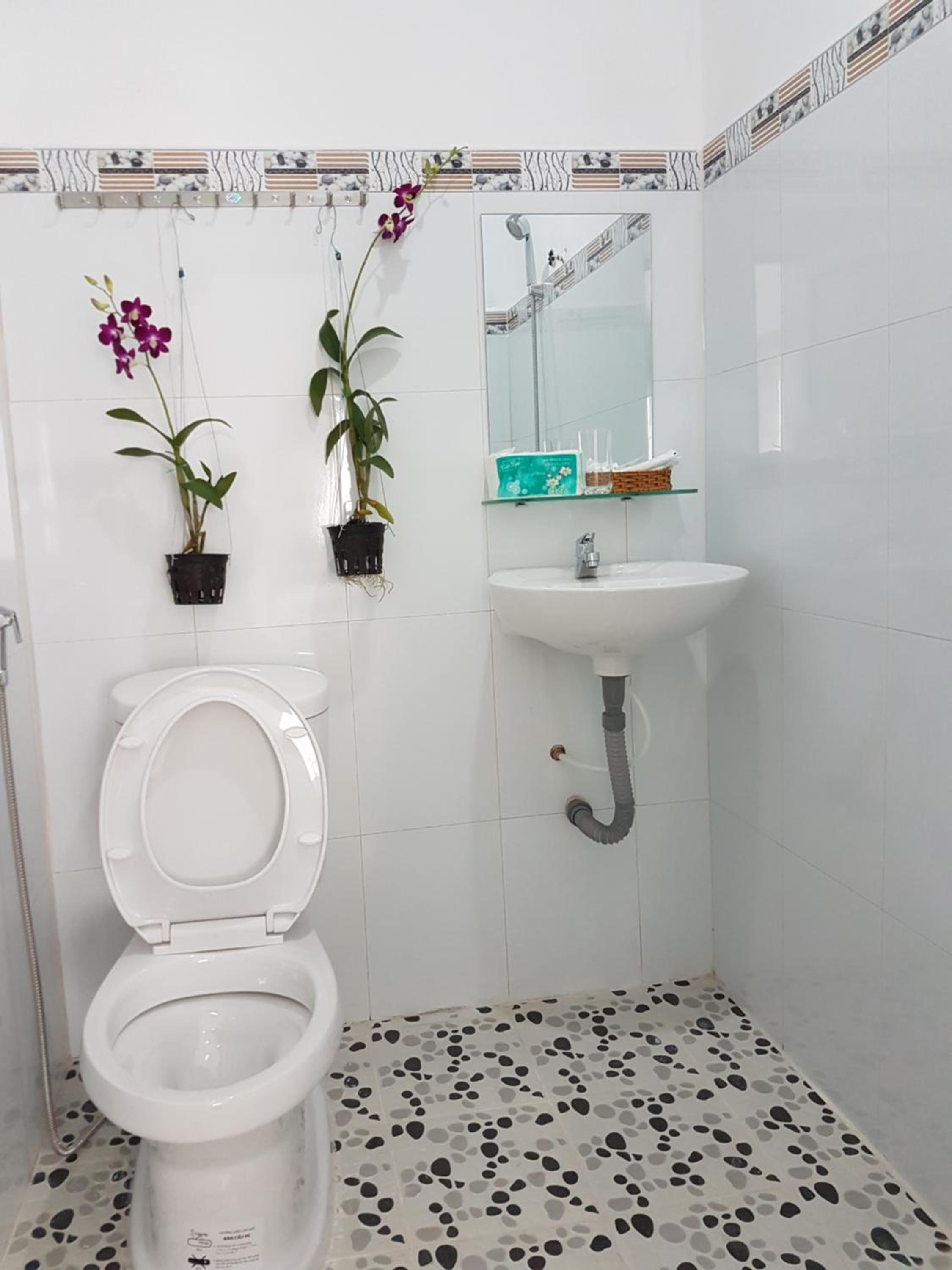 Song Ngoc Guesthouse