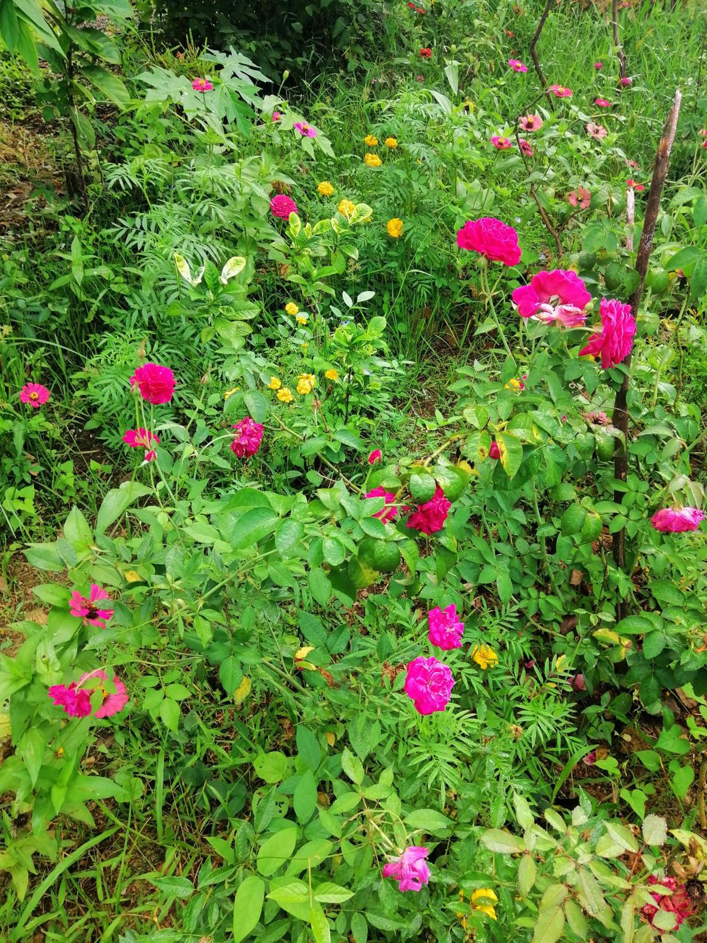 Photo 15