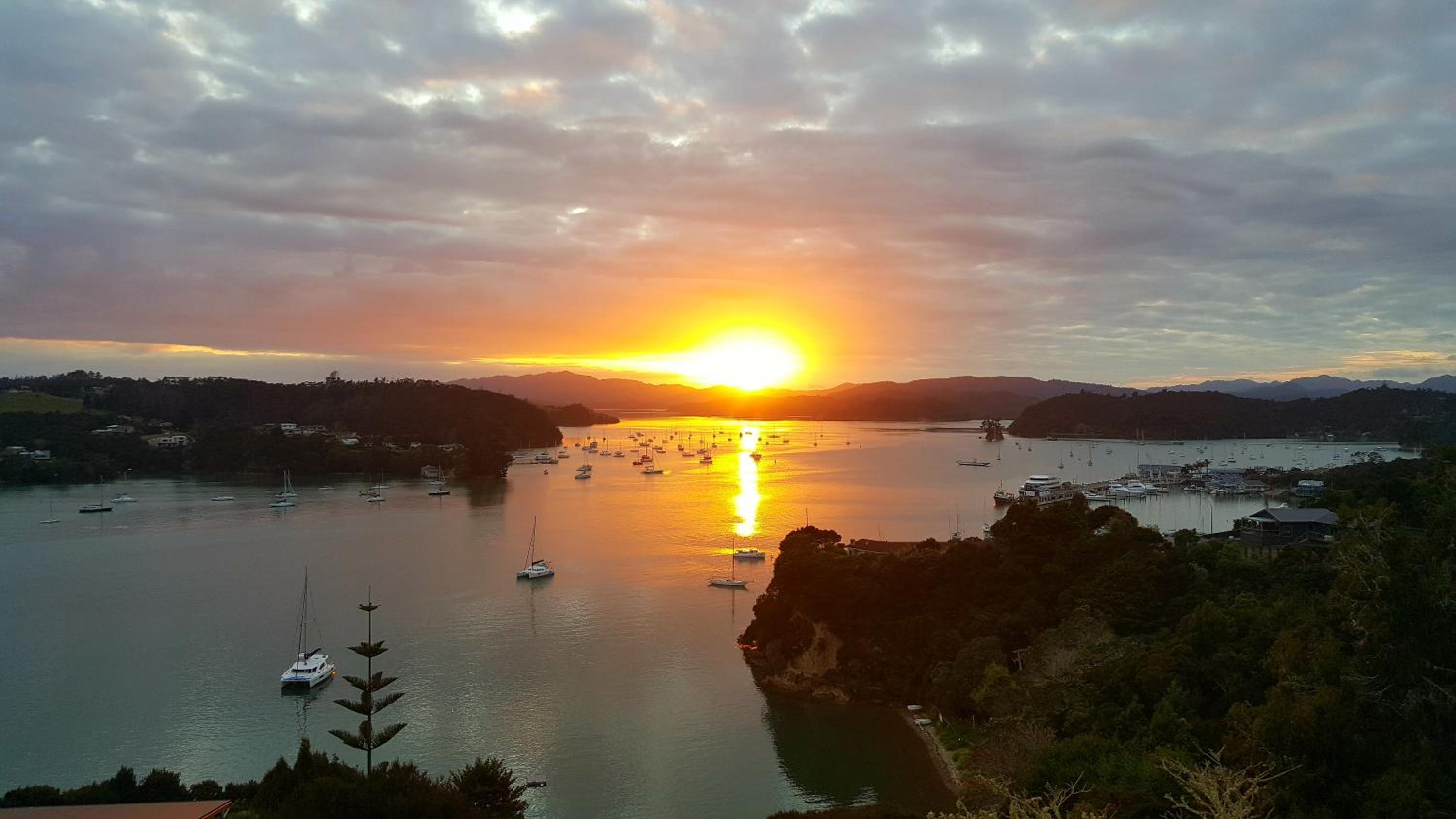 Marina Cove Bay of Islands