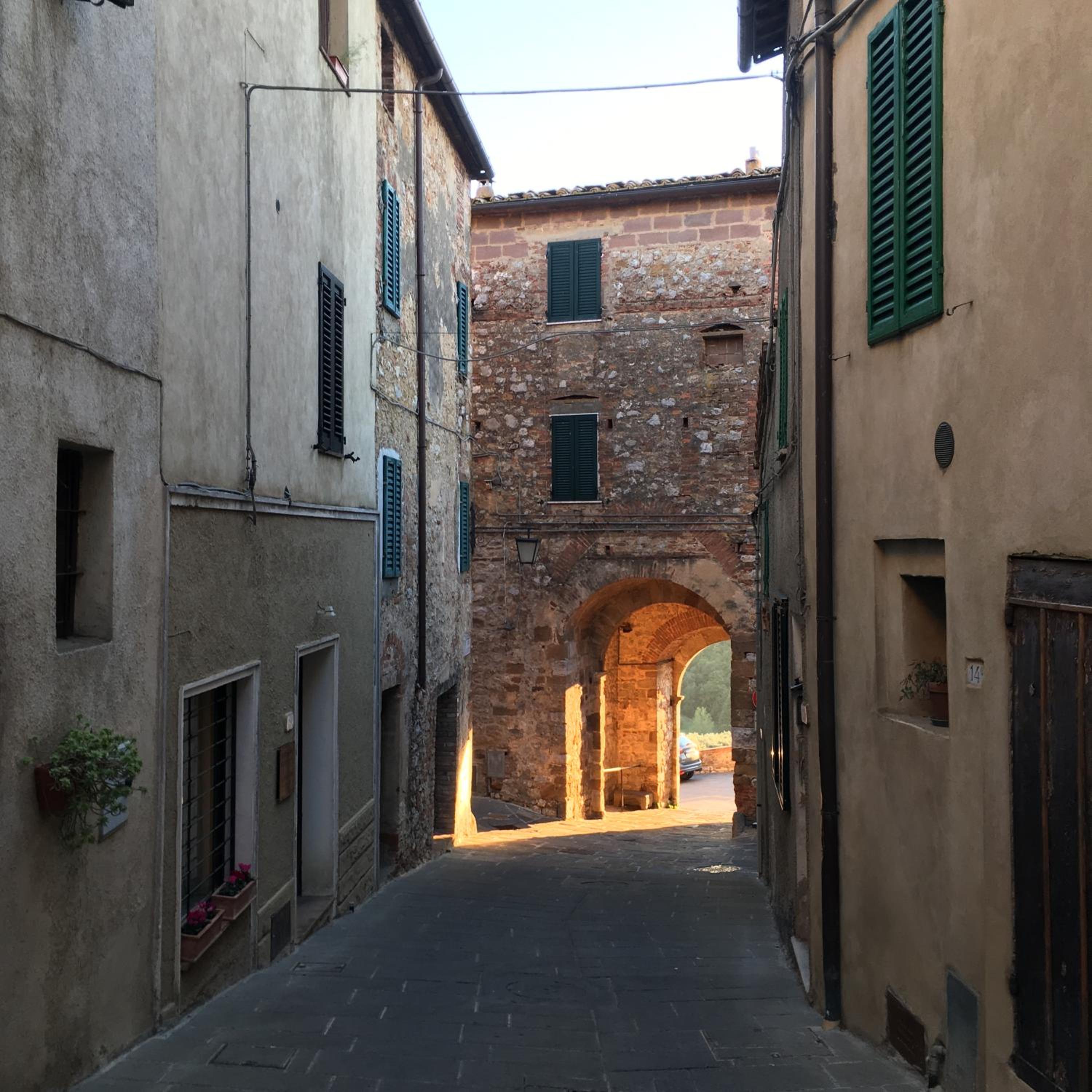 Photo 18